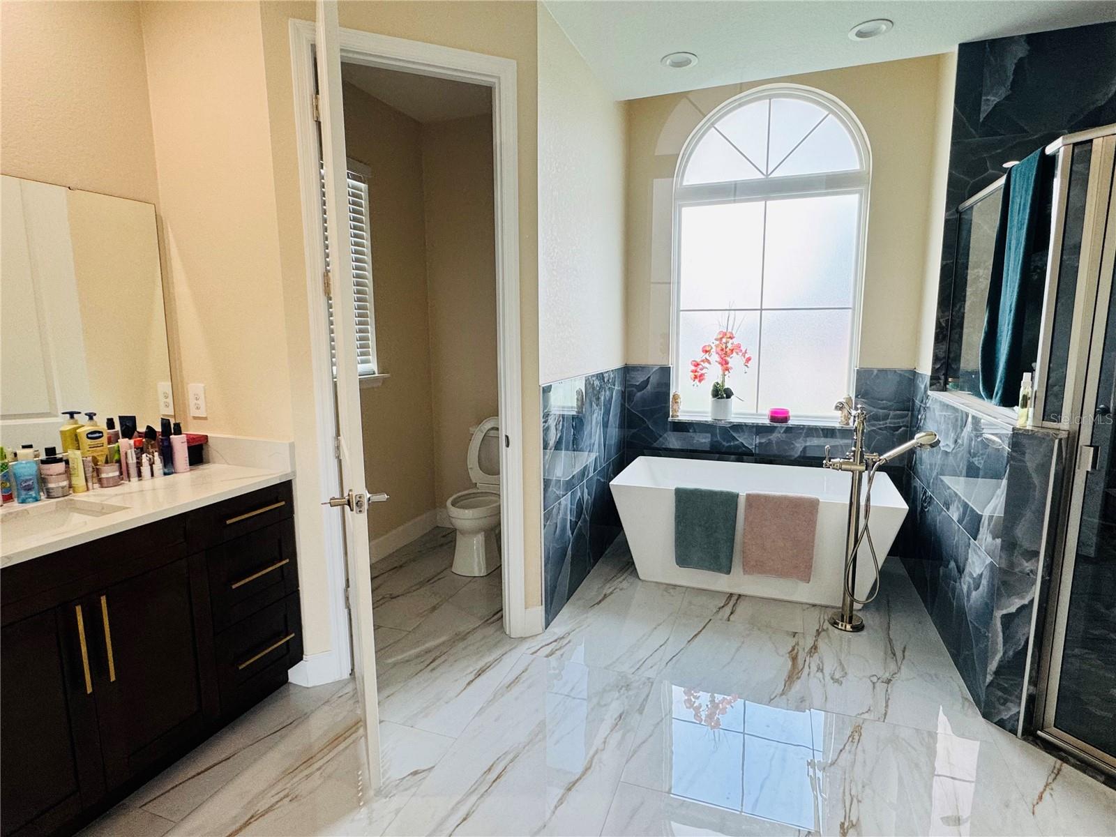 803 LAKE JESSIE DR DR, WINTER HAVEN, FL, 33881