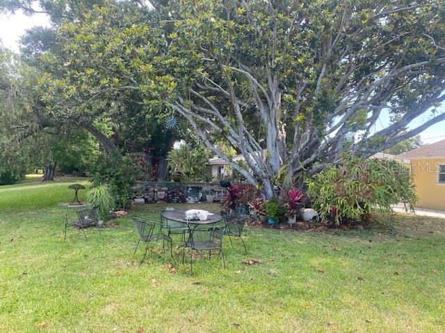 2134 MCKINLEY ST, CLEARWATER, FL, 33765