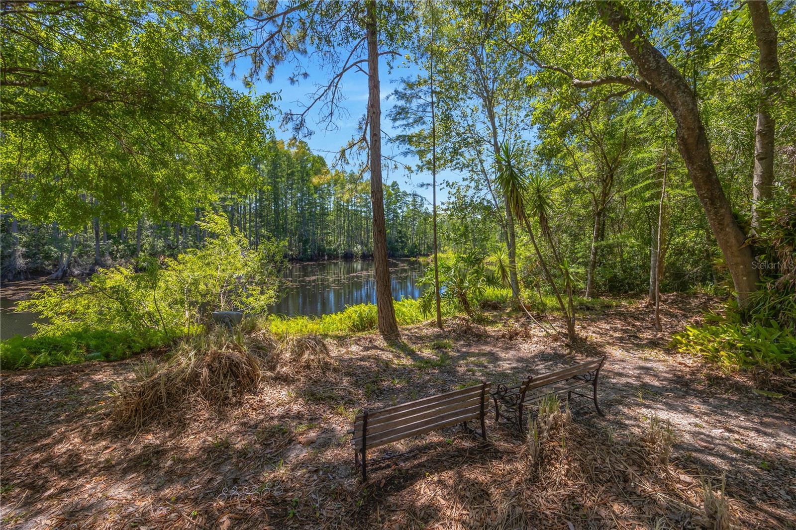 18324 JORENE RD, ODESSA, FL, 33556