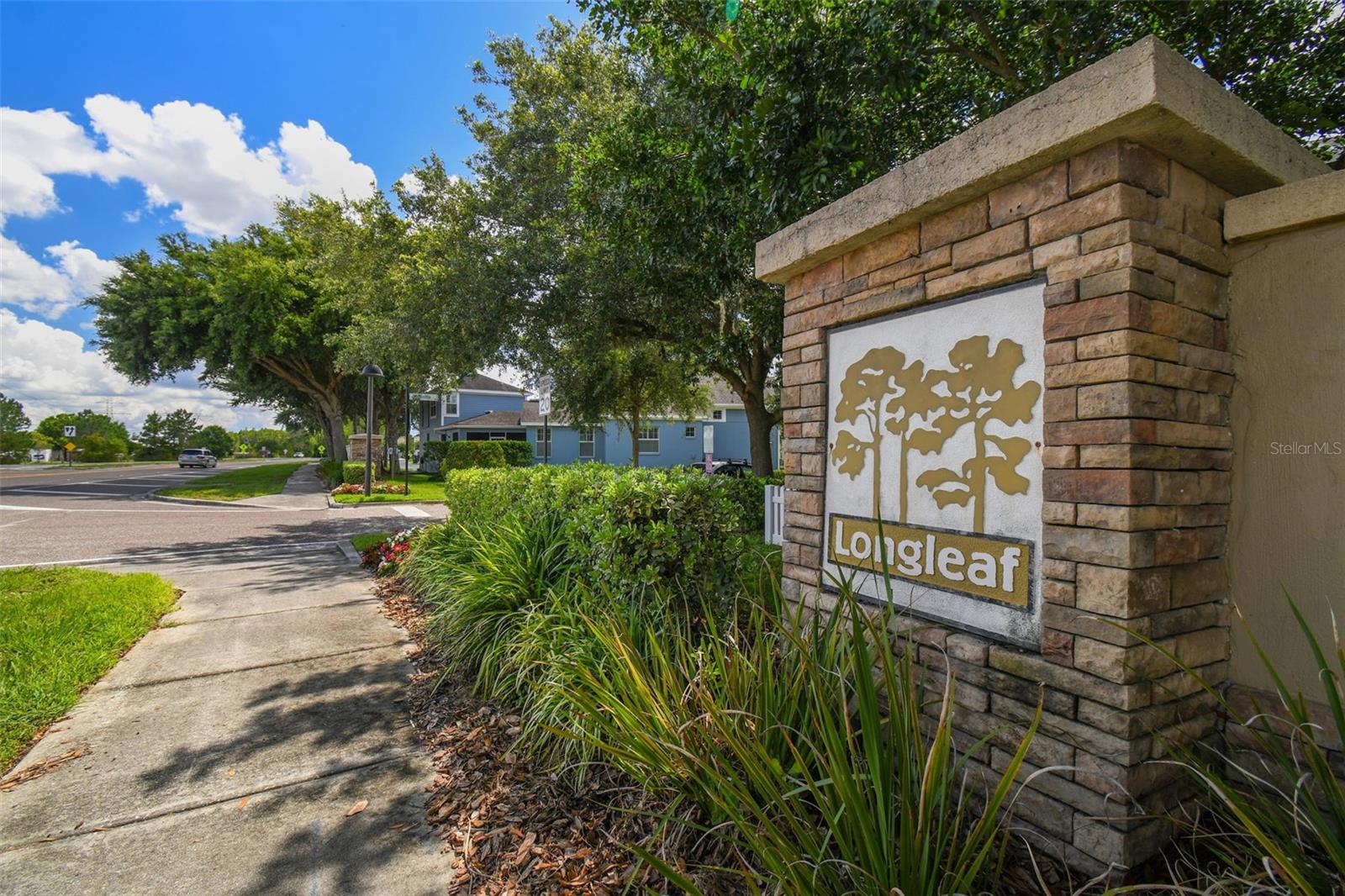 3550 FERRELL ST, NEW PORT RICHEY, FL, 34655