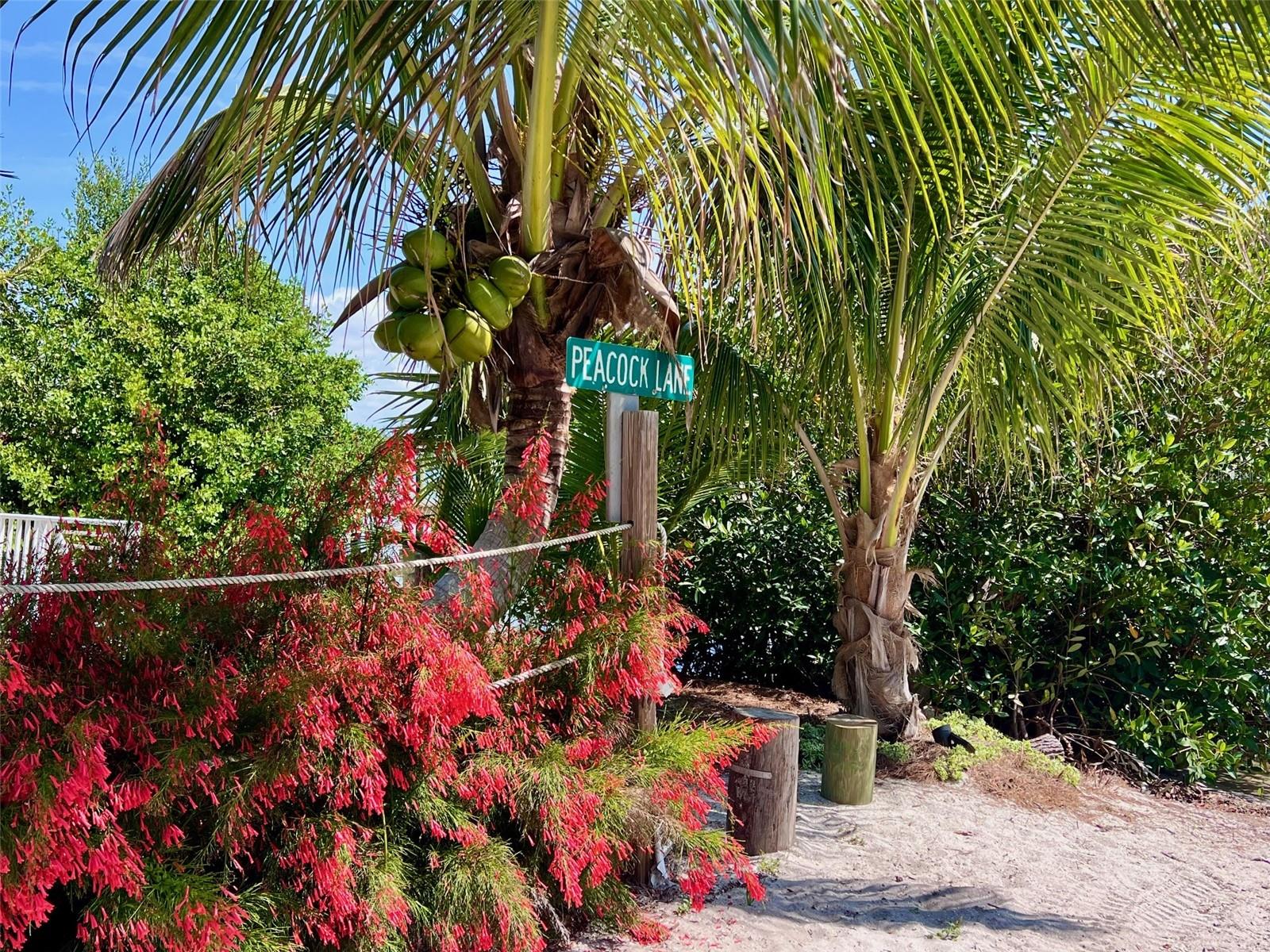 8302 LITTLE GASPARILLA IS, PLACIDA, FL, 33946