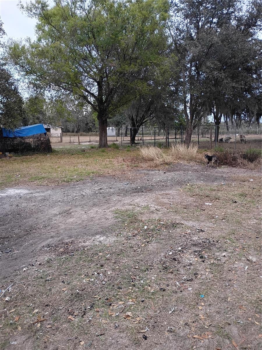 1826 NW COUNTY ROAD 661, ARCADIA, FL, 34266