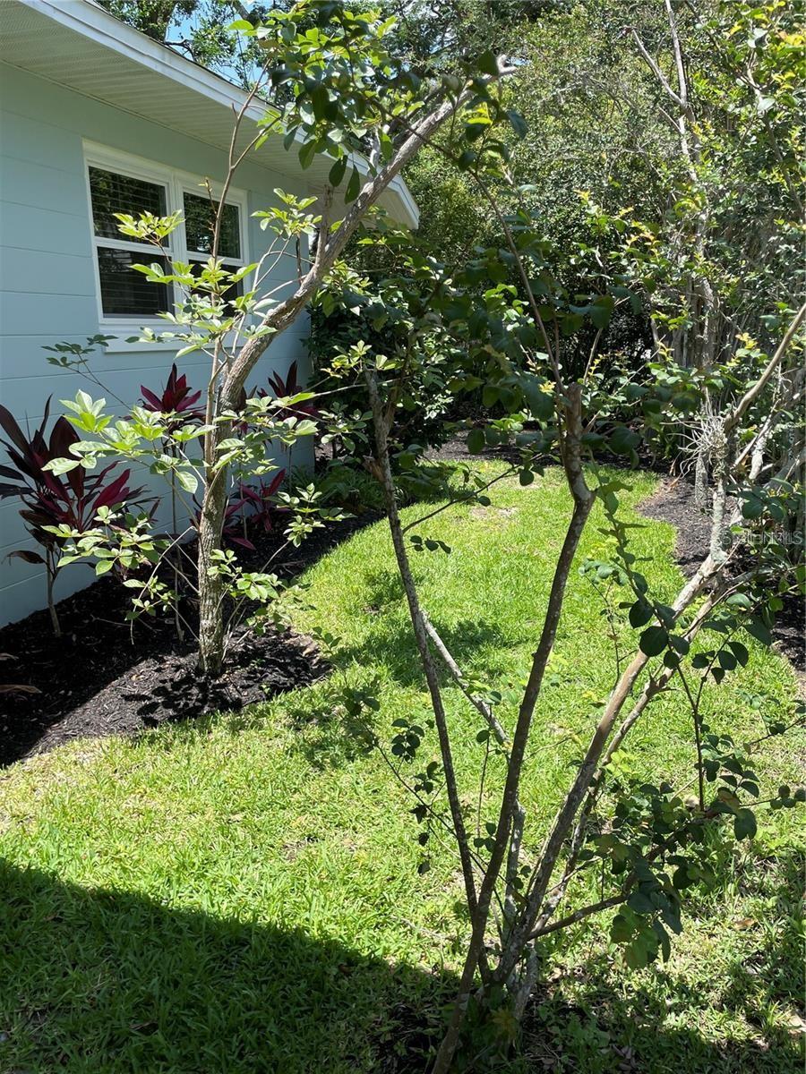 624 FIFTH ST, CLERMONT, FL, 34711