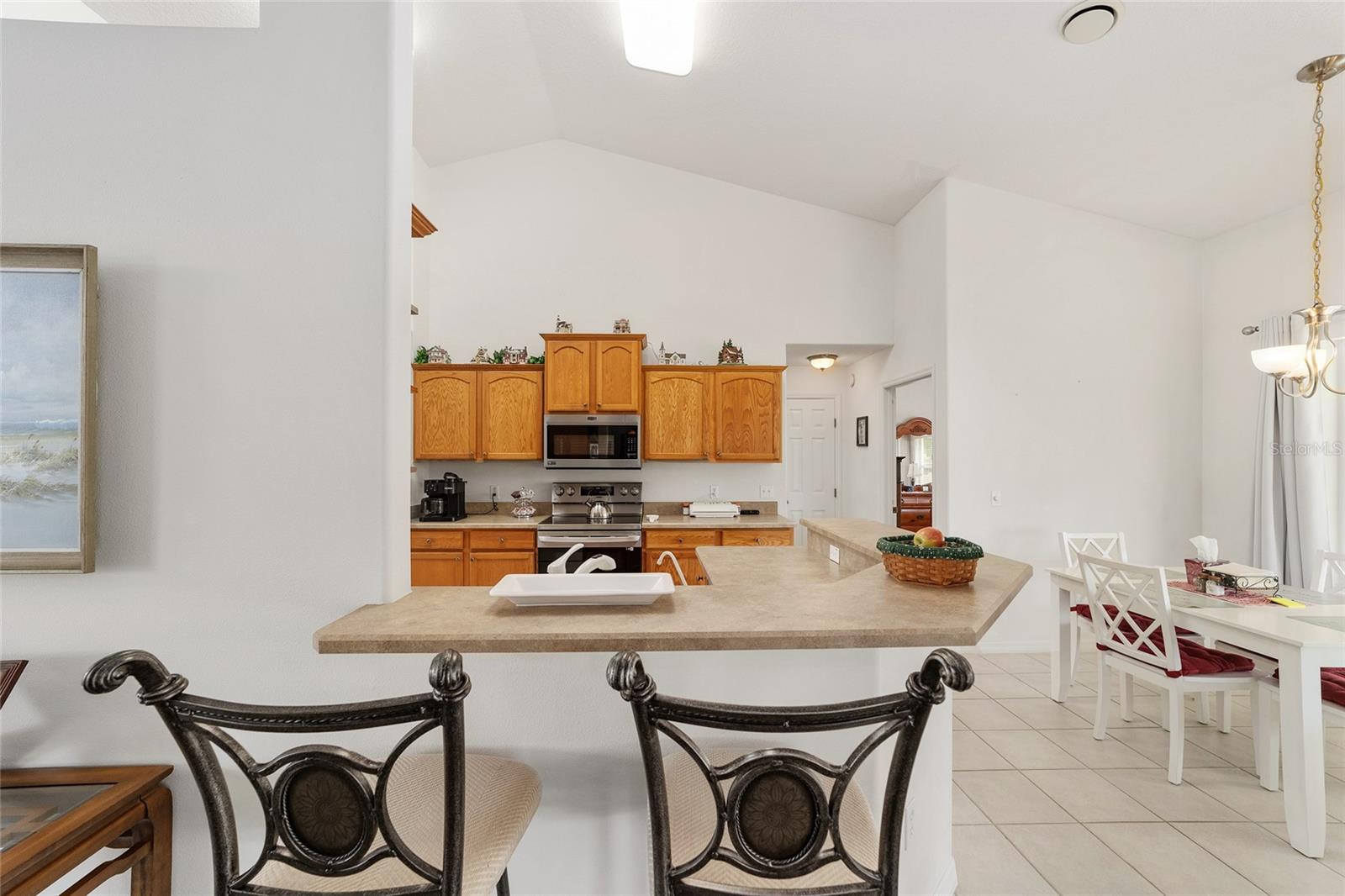 10080 SE 69TH AVE, BELLEVIEW, FL, 34420