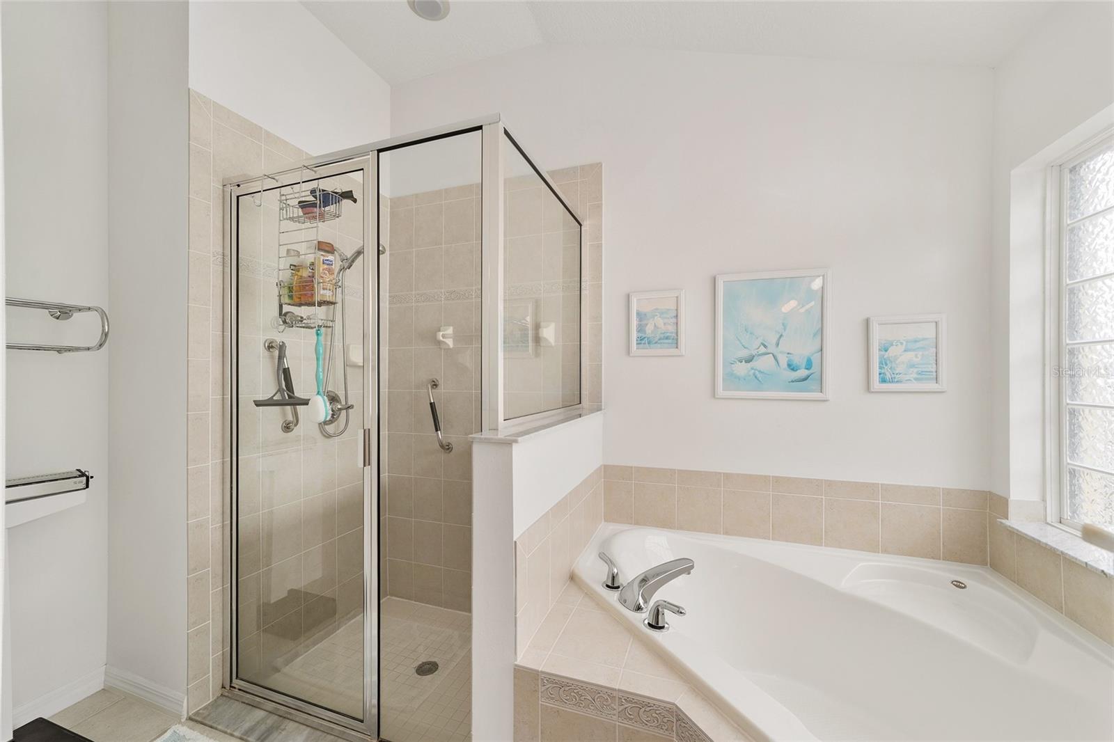 10080 SE 69TH AVE, BELLEVIEW, FL, 34420
