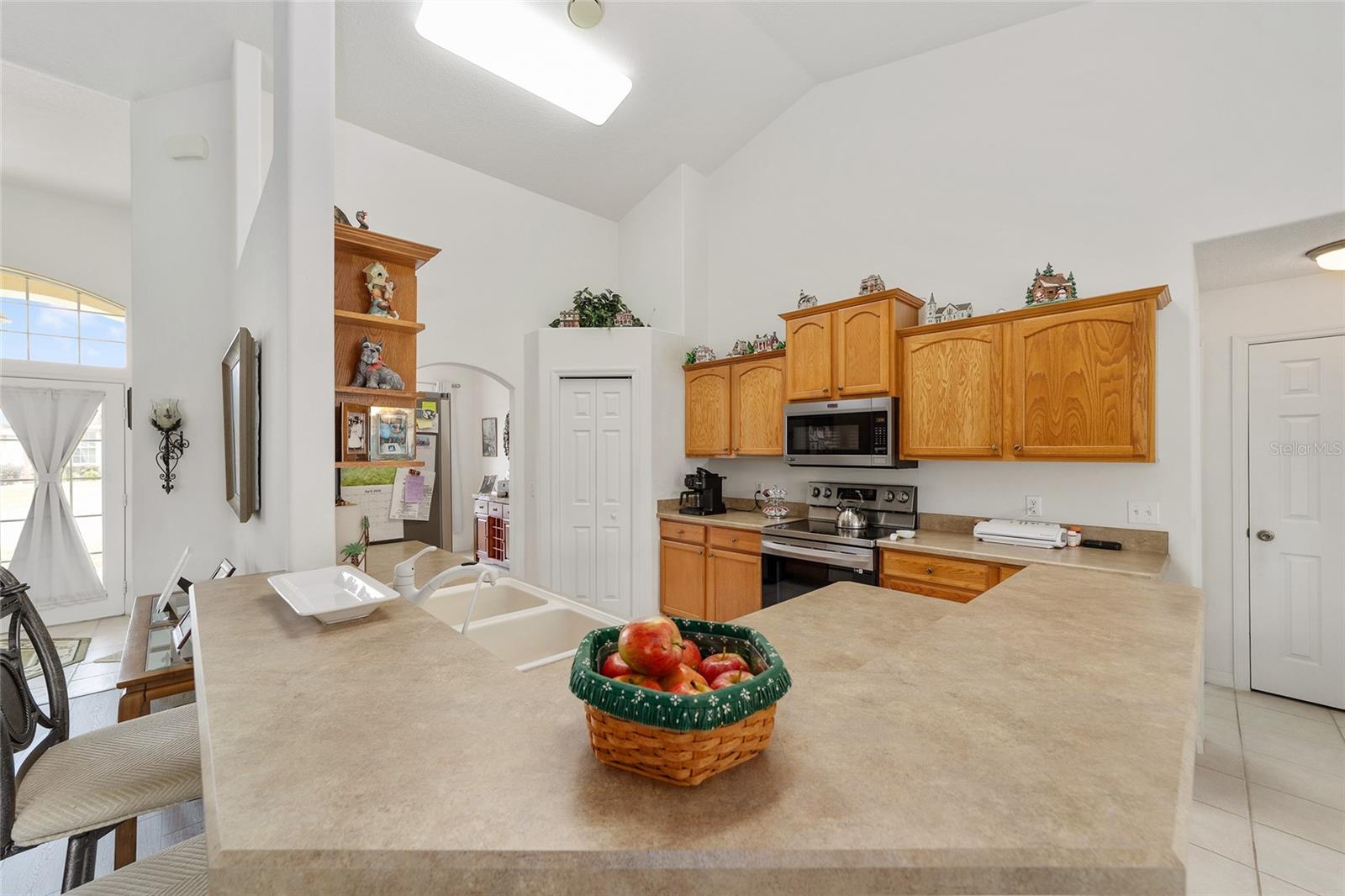 10080 SE 69TH AVE, BELLEVIEW, FL, 34420