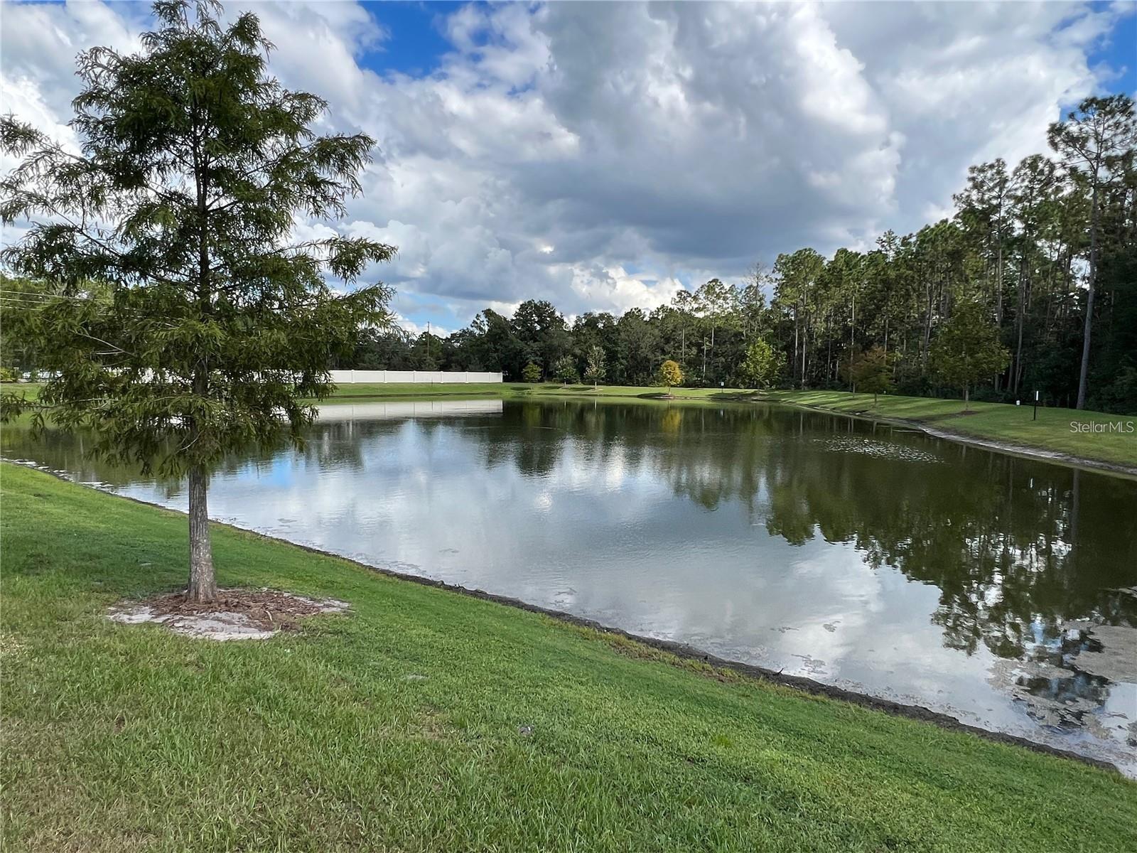 9055 LEGADO DR, WINDERMERE, FL, 34786