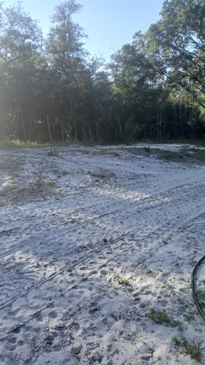 0 AND TBD, WEBSTER, FL, 33597