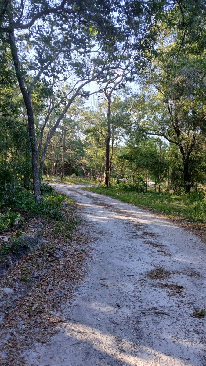 0 AND TBD, WEBSTER, FL, 33597