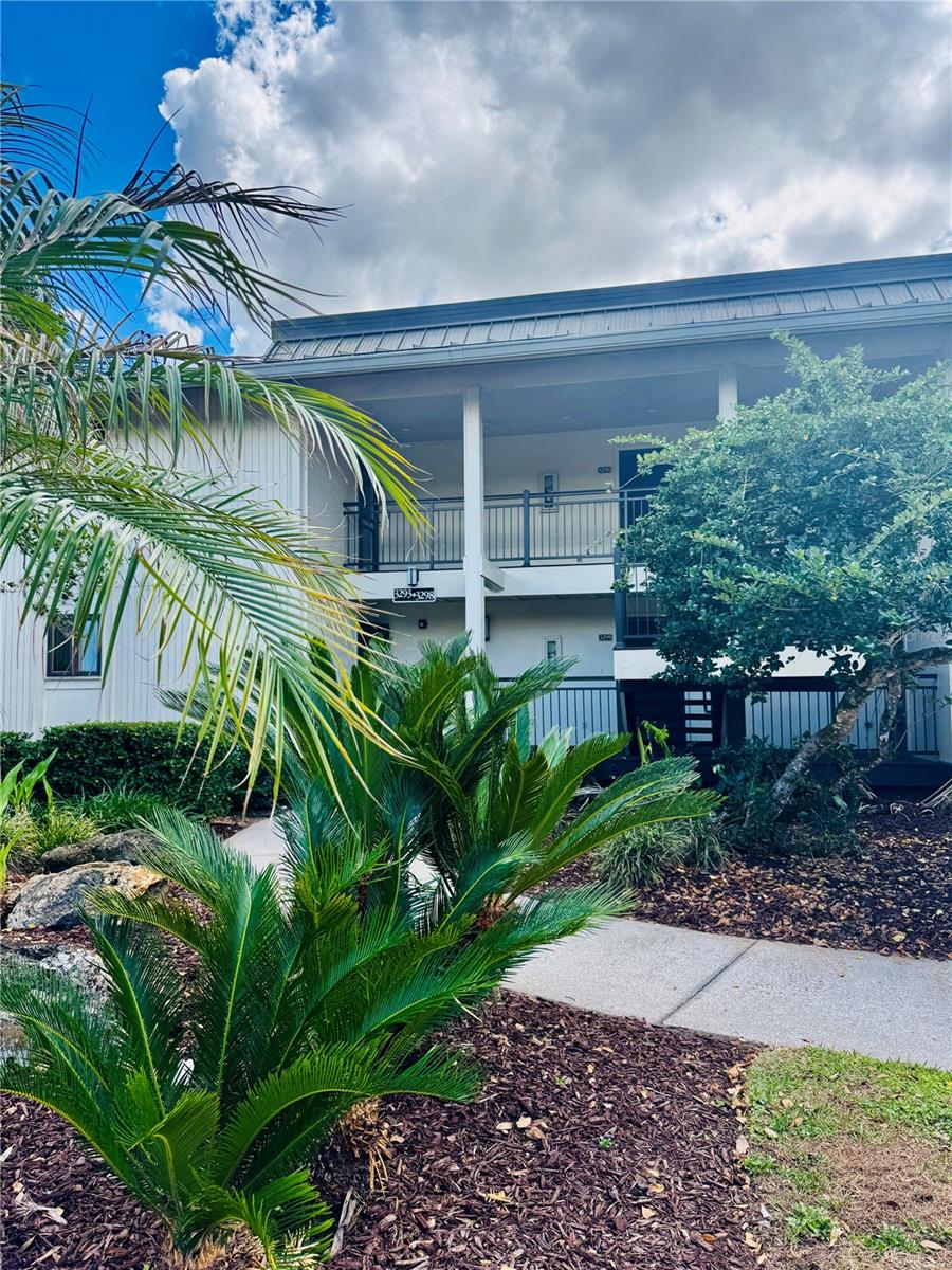 29200 BAY HOLLOW DR #3295, WESLEY CHAPEL, FL, 33543