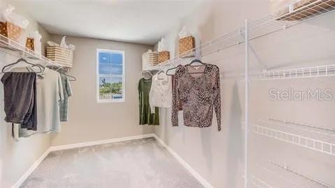 16803 DELIA ST, WIMAUMA, FL, 33598