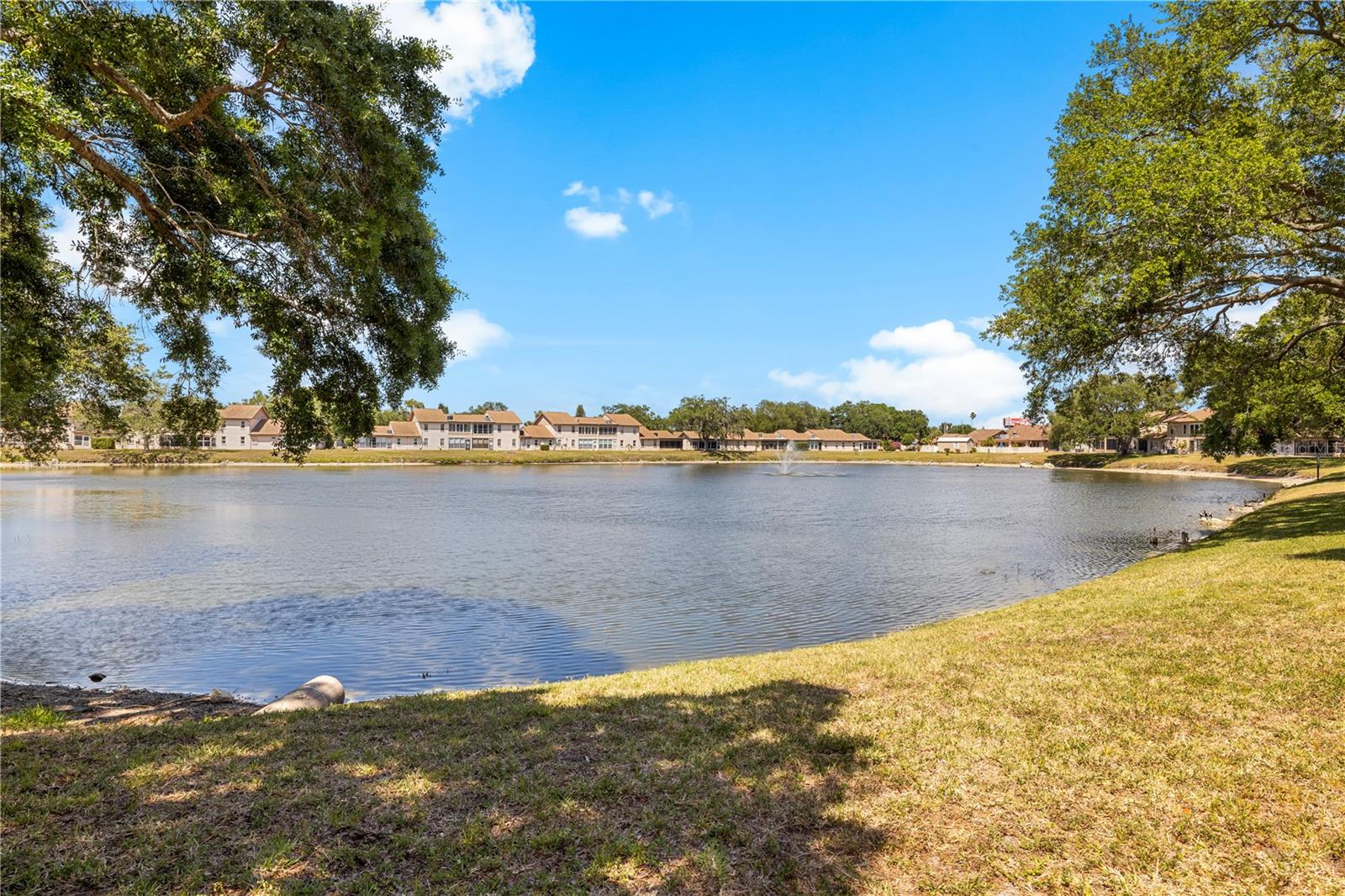 3801 SAILMAKER LN, HOLIDAY, FL, 34691
