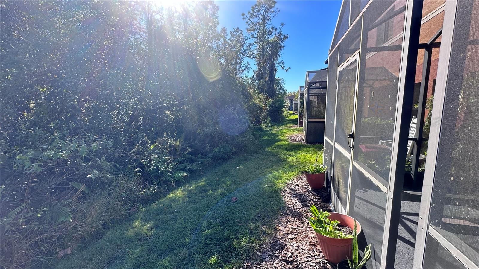 9536 MUSE PL, ORLANDO, FL, 32829