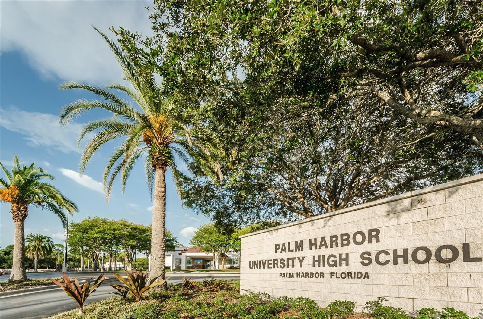1231 ILLINOIS AVE, PALM HARBOR, FL, 34683