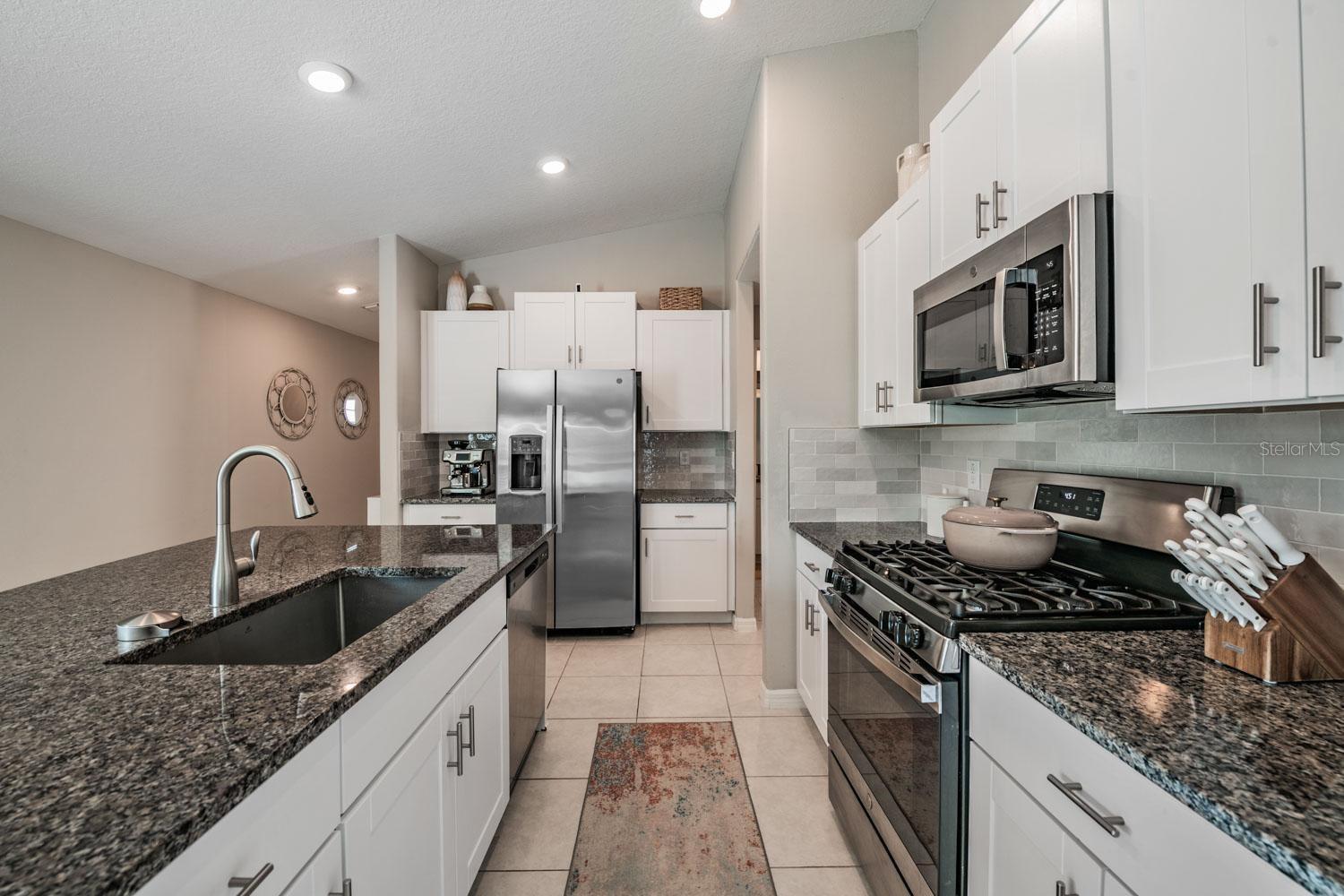 10331 BLUE PLUME CT, RIVERVIEW, FL, 33578