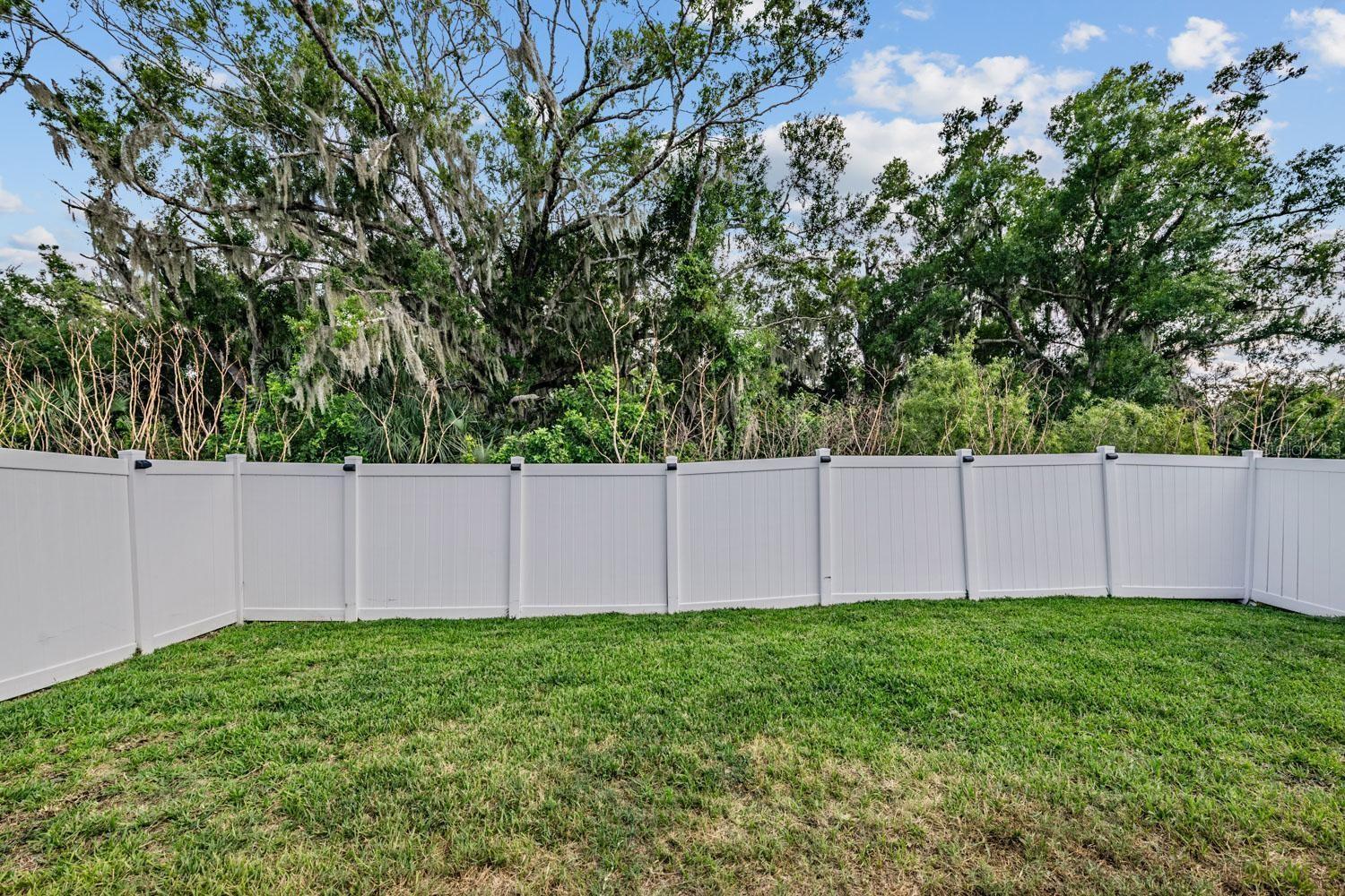 10331 BLUE PLUME CT, RIVERVIEW, FL, 33578