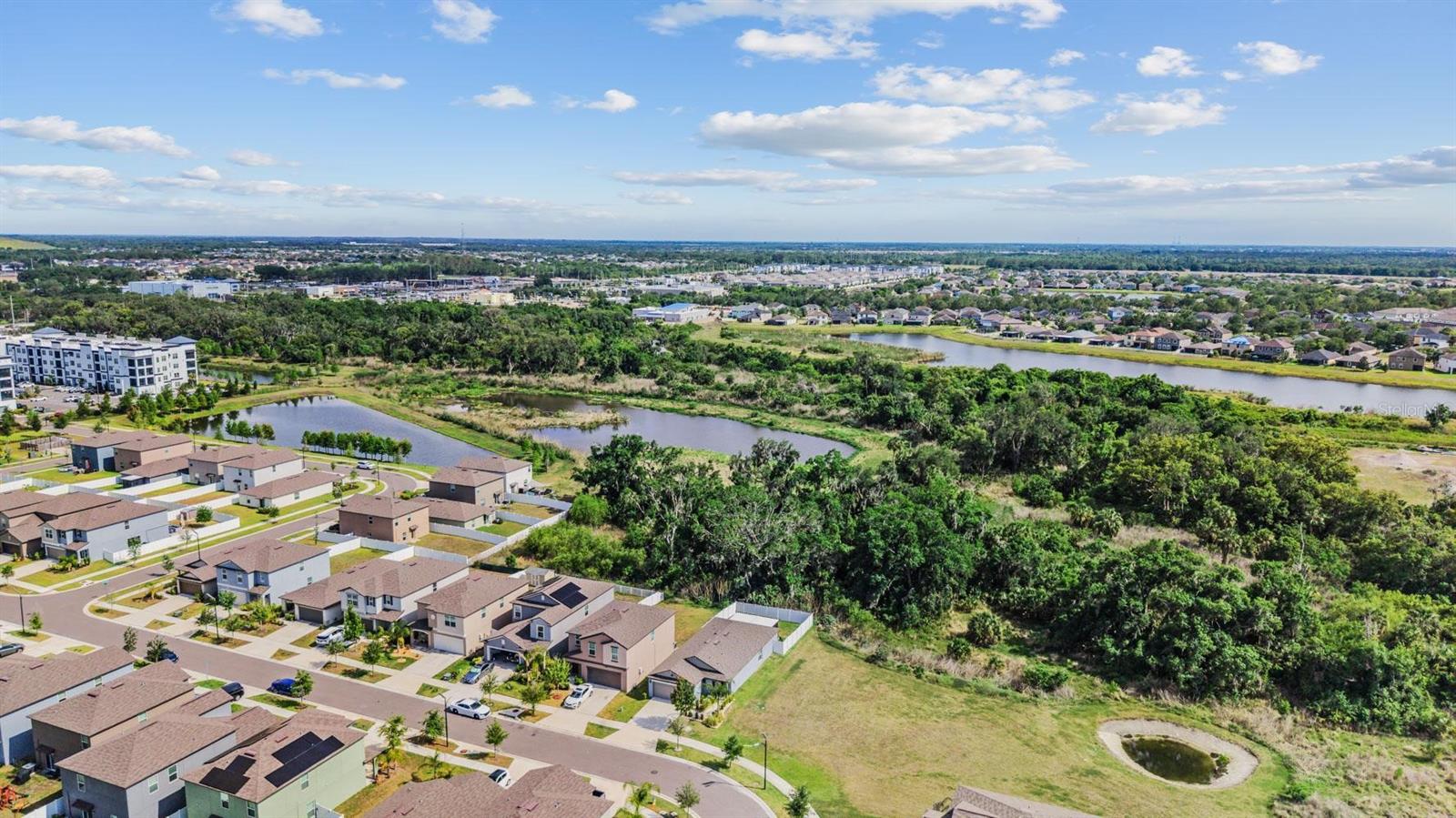 10331 BLUE PLUME CT, RIVERVIEW, FL, 33578