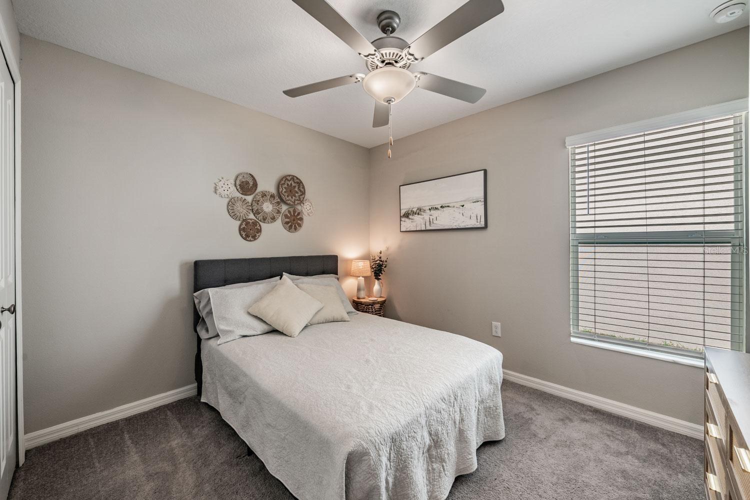 10331 BLUE PLUME CT, RIVERVIEW, FL, 33578
