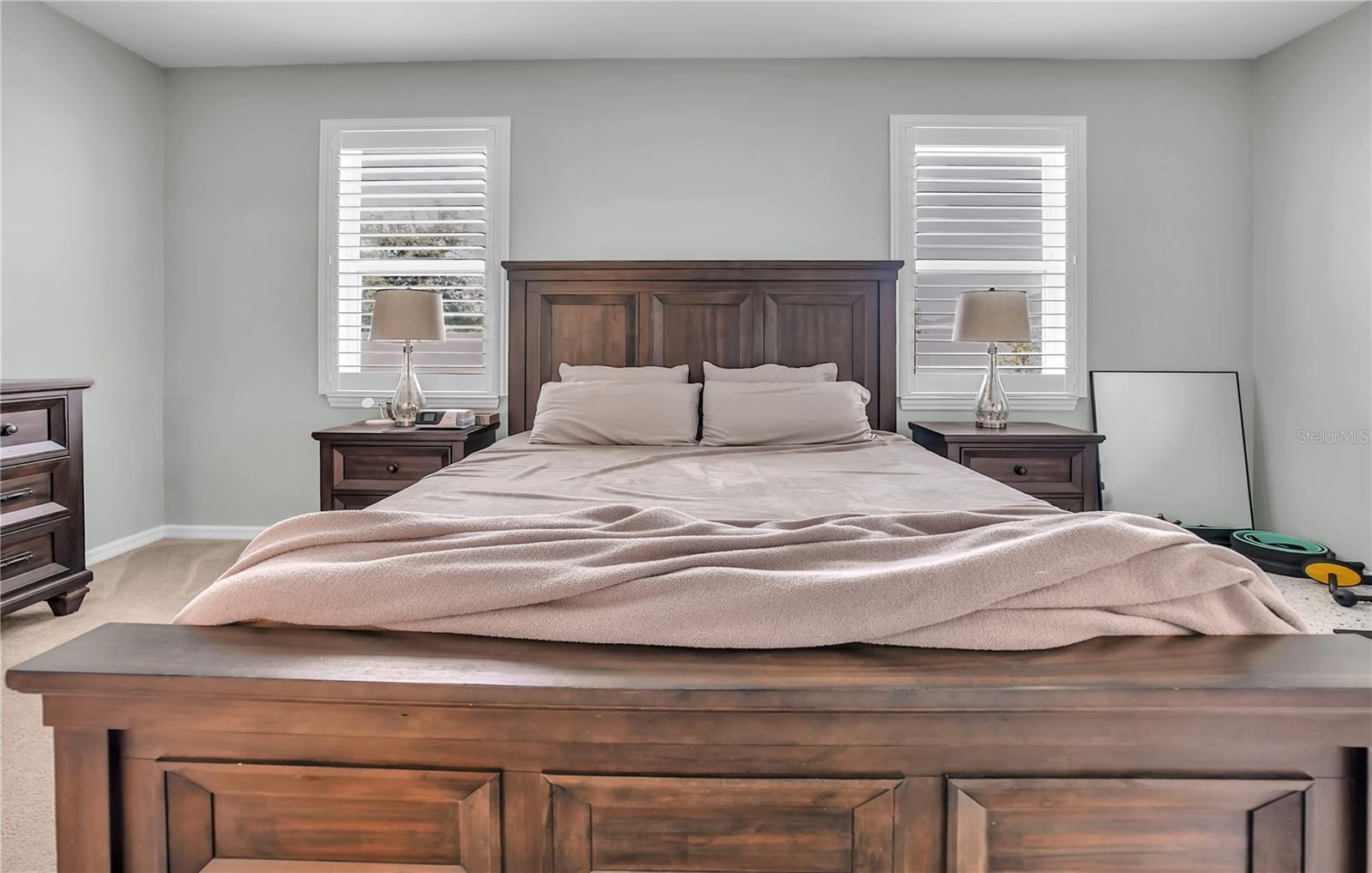 24401 SUNNYS HALO WAY, SORRENTO, FL, 32776