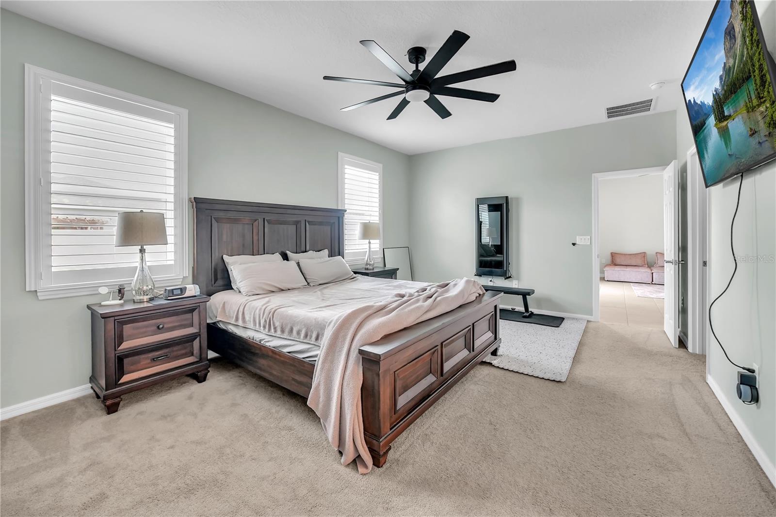 24401 SUNNYS HALO WAY, SORRENTO, FL, 32776