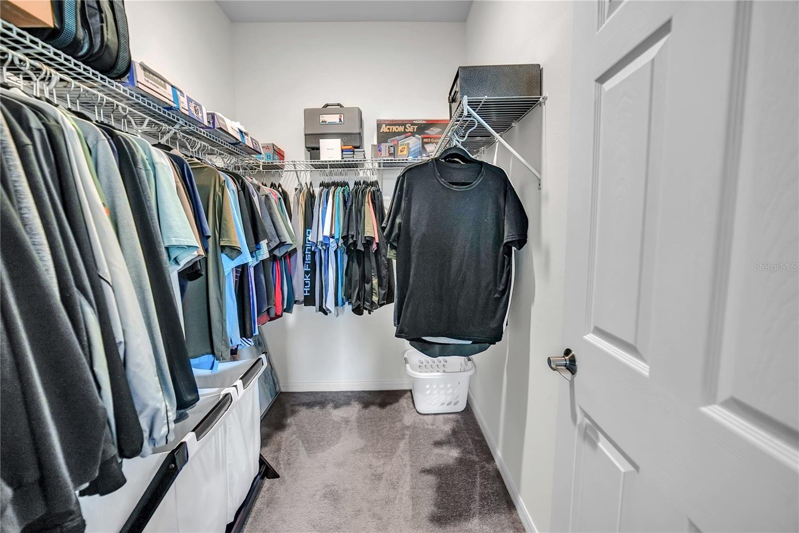 24401 SUNNYS HALO WAY, SORRENTO, FL, 32776