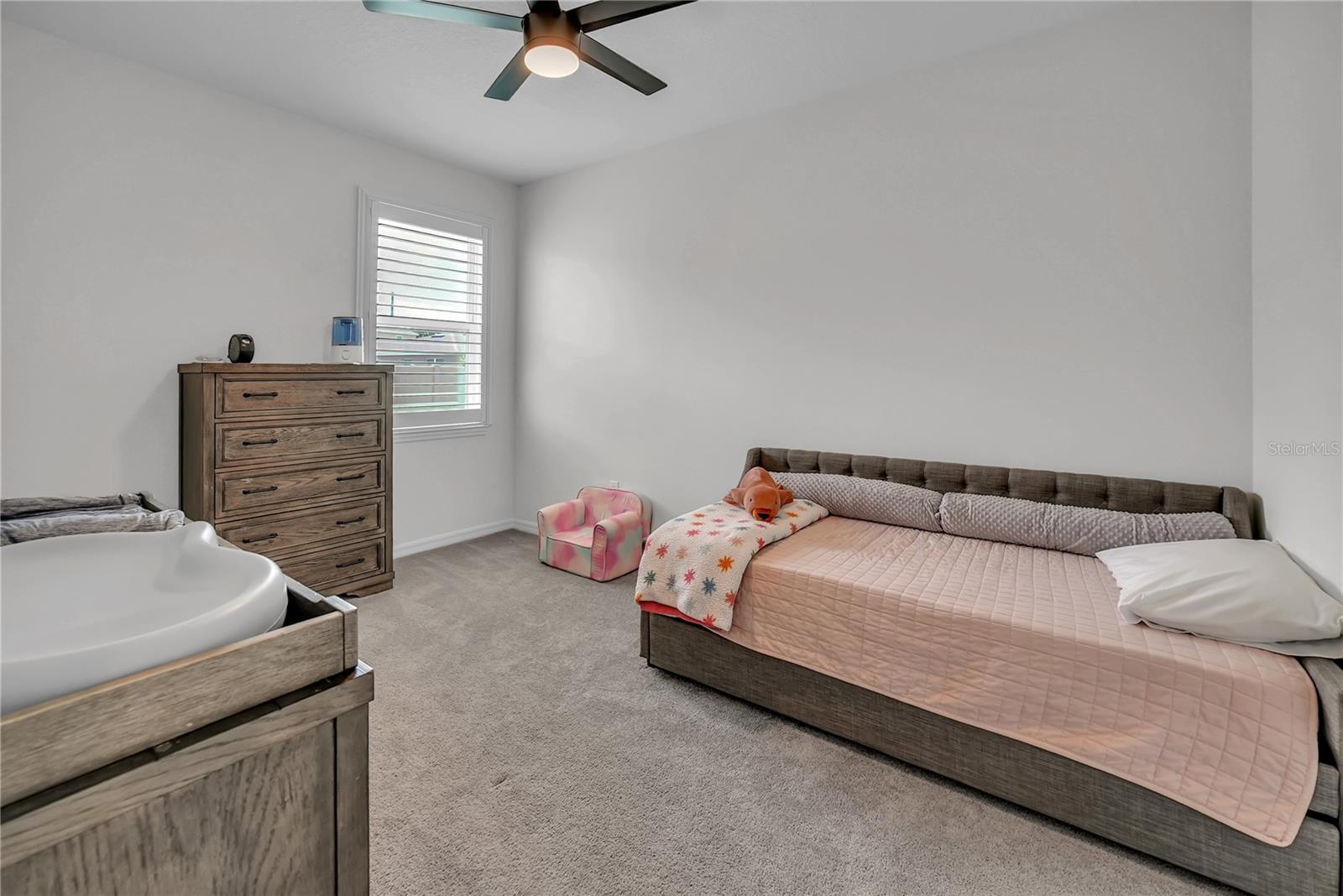 24401 SUNNYS HALO WAY, SORRENTO, FL, 32776