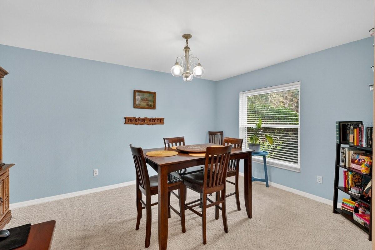 3223 TRAVELERS PALM DR, EDGEWATER, FL, 32141