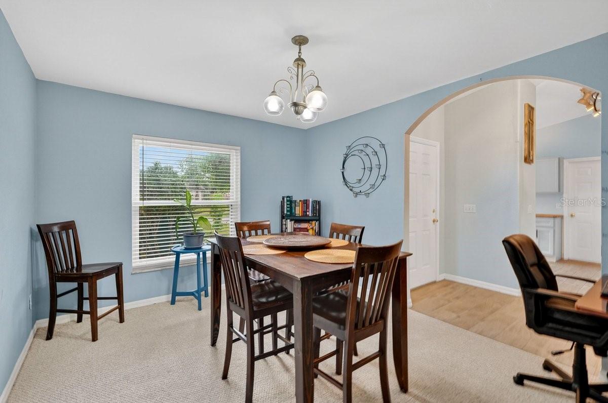 3223 TRAVELERS PALM DR, EDGEWATER, FL, 32141