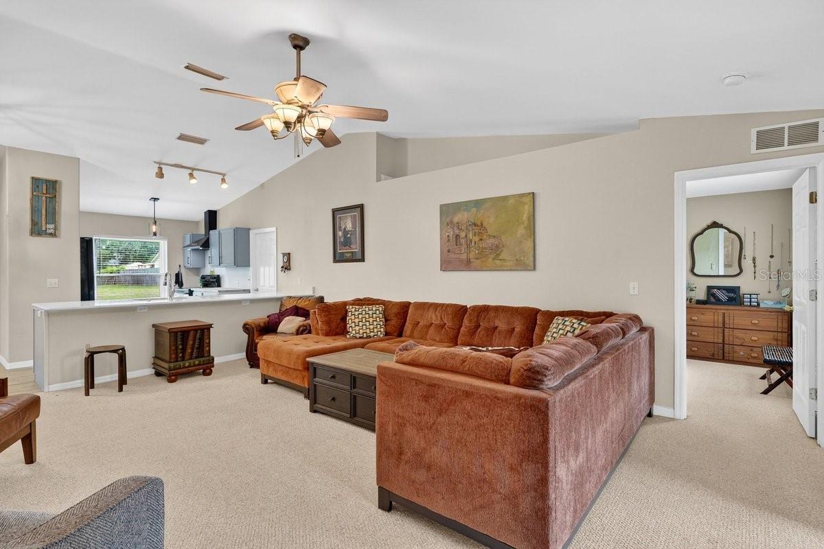 3223 TRAVELERS PALM DR, EDGEWATER, FL, 32141