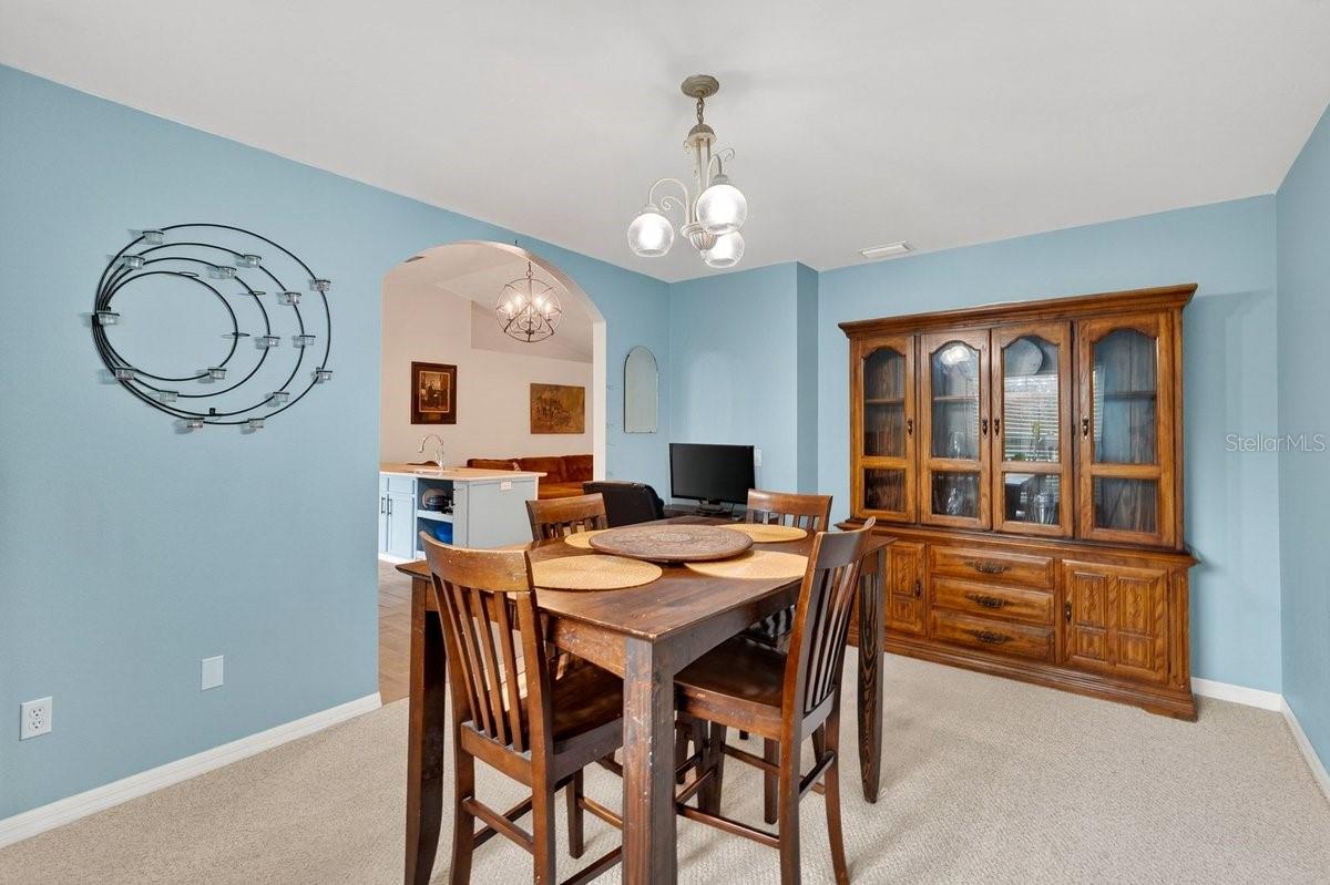 3223 TRAVELERS PALM DR, EDGEWATER, FL, 32141