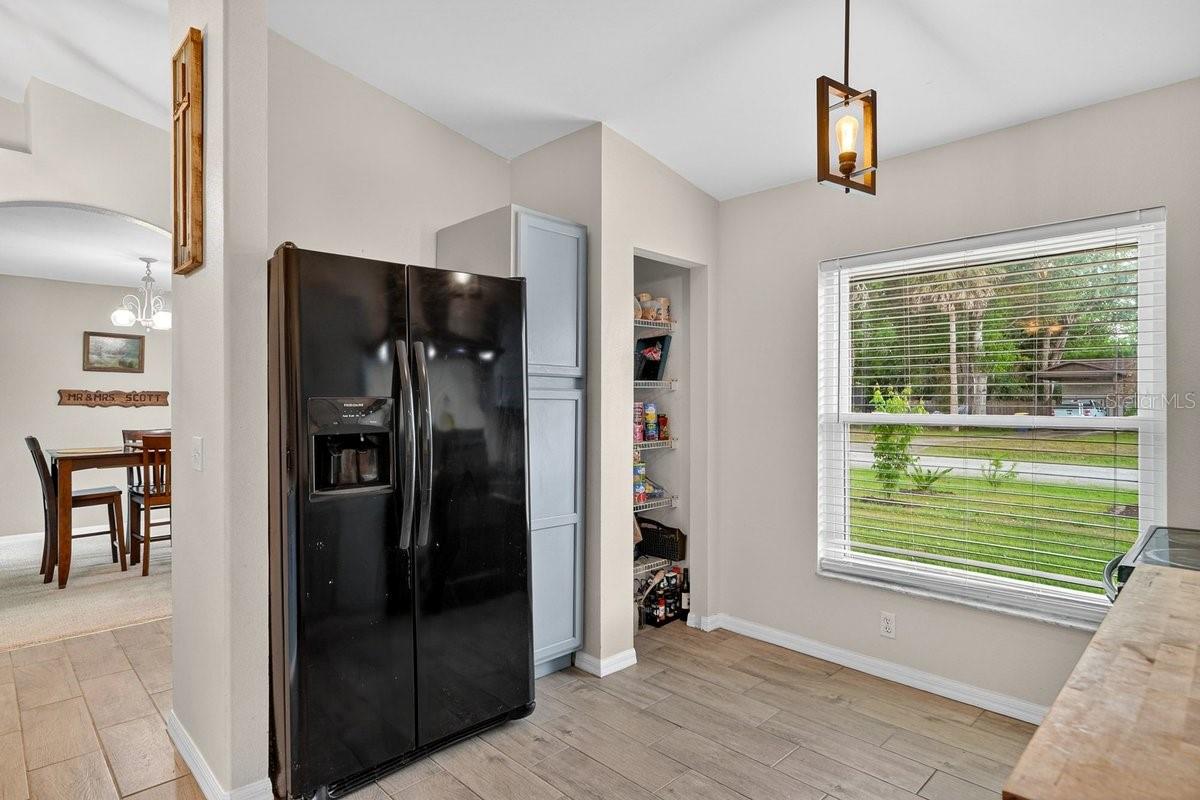 3223 TRAVELERS PALM DR, EDGEWATER, FL, 32141