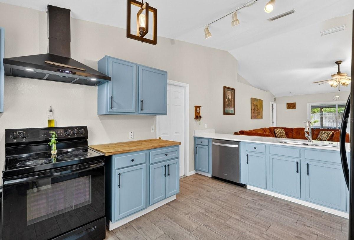 3223 TRAVELERS PALM DR, EDGEWATER, FL, 32141