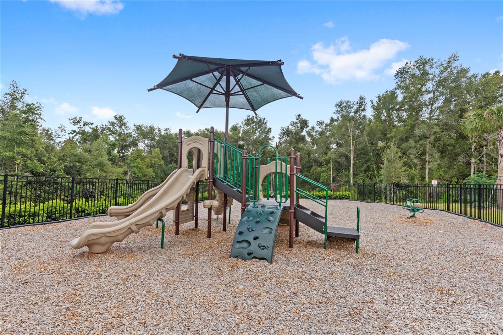 5269 FOOTHILLS PRESERVE LOOP, MOUNT DORA, FL, 32757