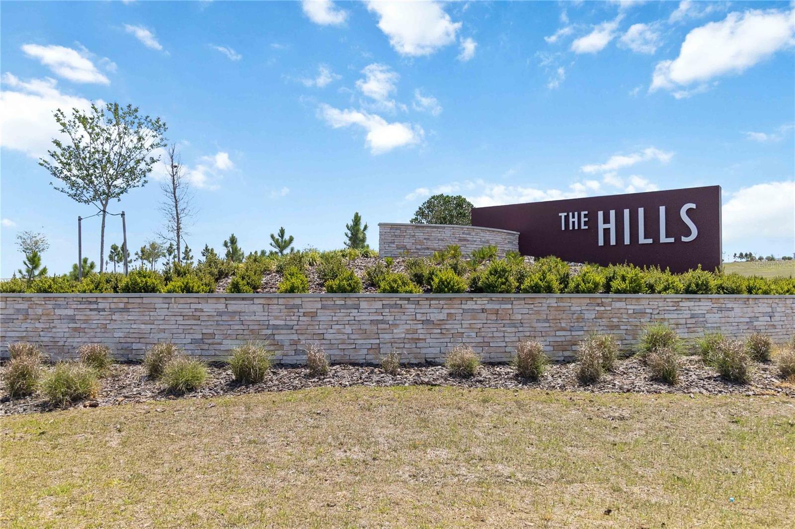 1683 CADENCE ST, MINNEOLA, FL, 34715