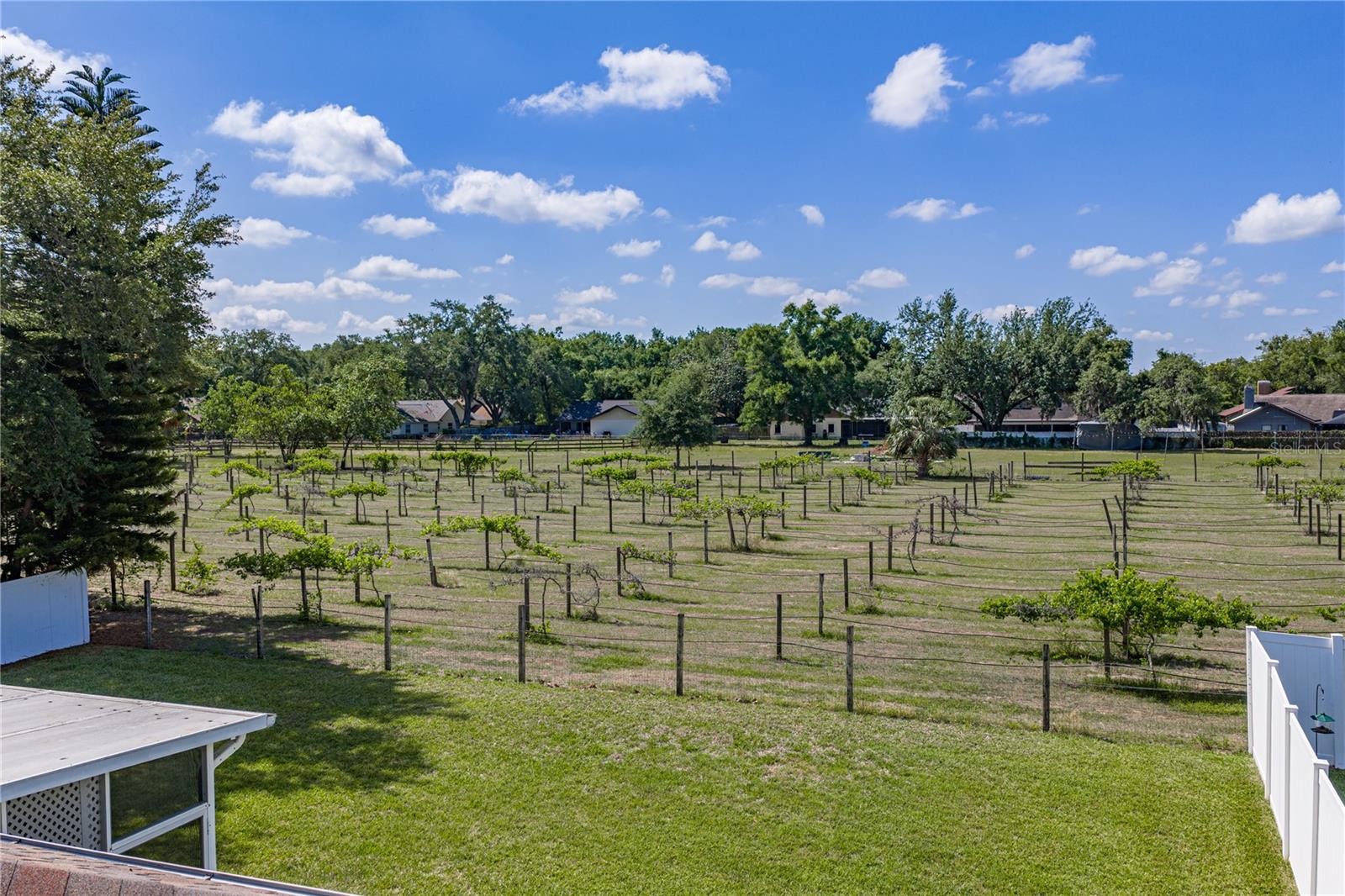 1035 LEGENDS PASS DR, VALRICO, FL, 33594