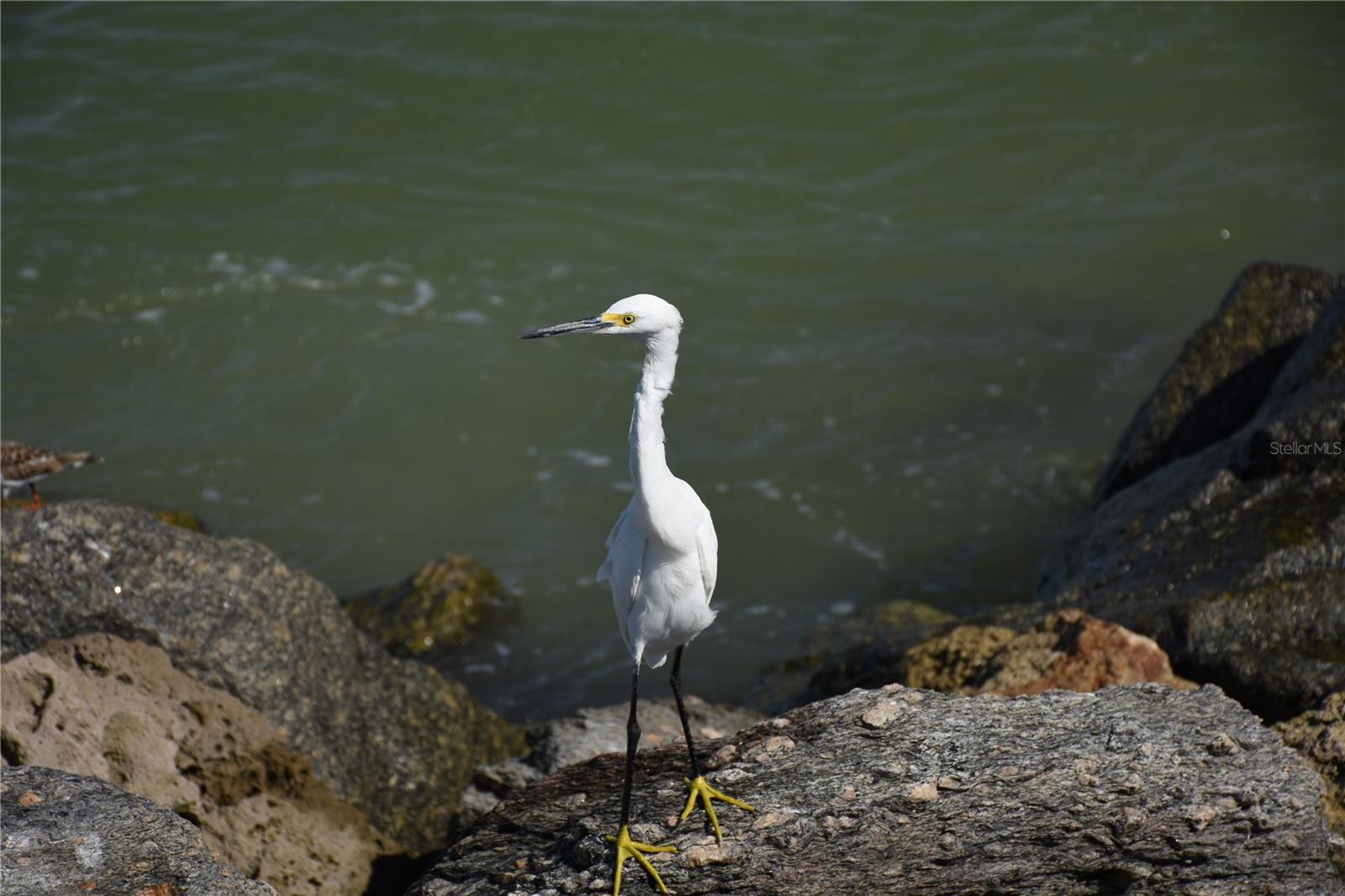 521 W VENICE AVE #16, VENICE, FL, 34285