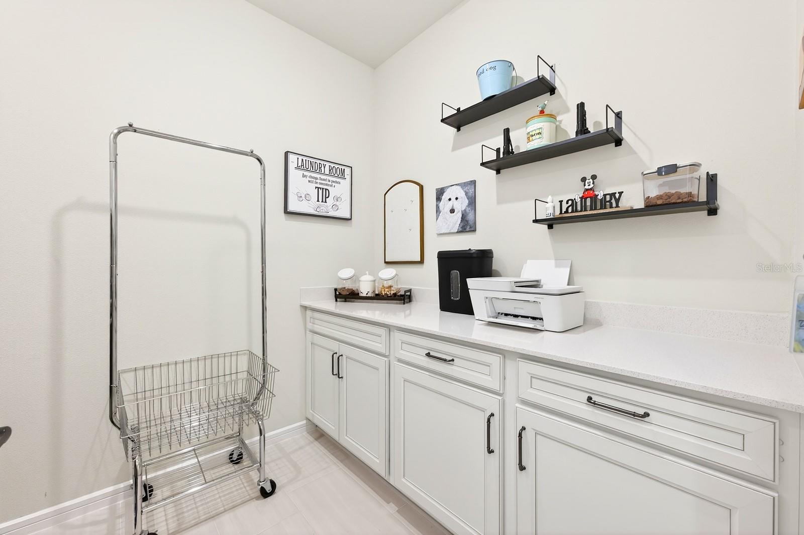 13780 FRESH IVY ST, WINTER GARDEN, FL, 34787