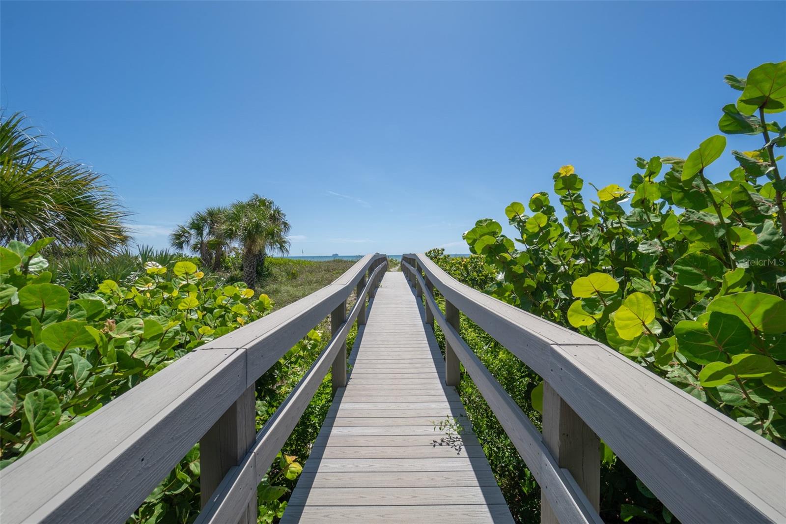 3740 OCEAN BEACH BLVD #805, COCOA BEACH, FL, 32931