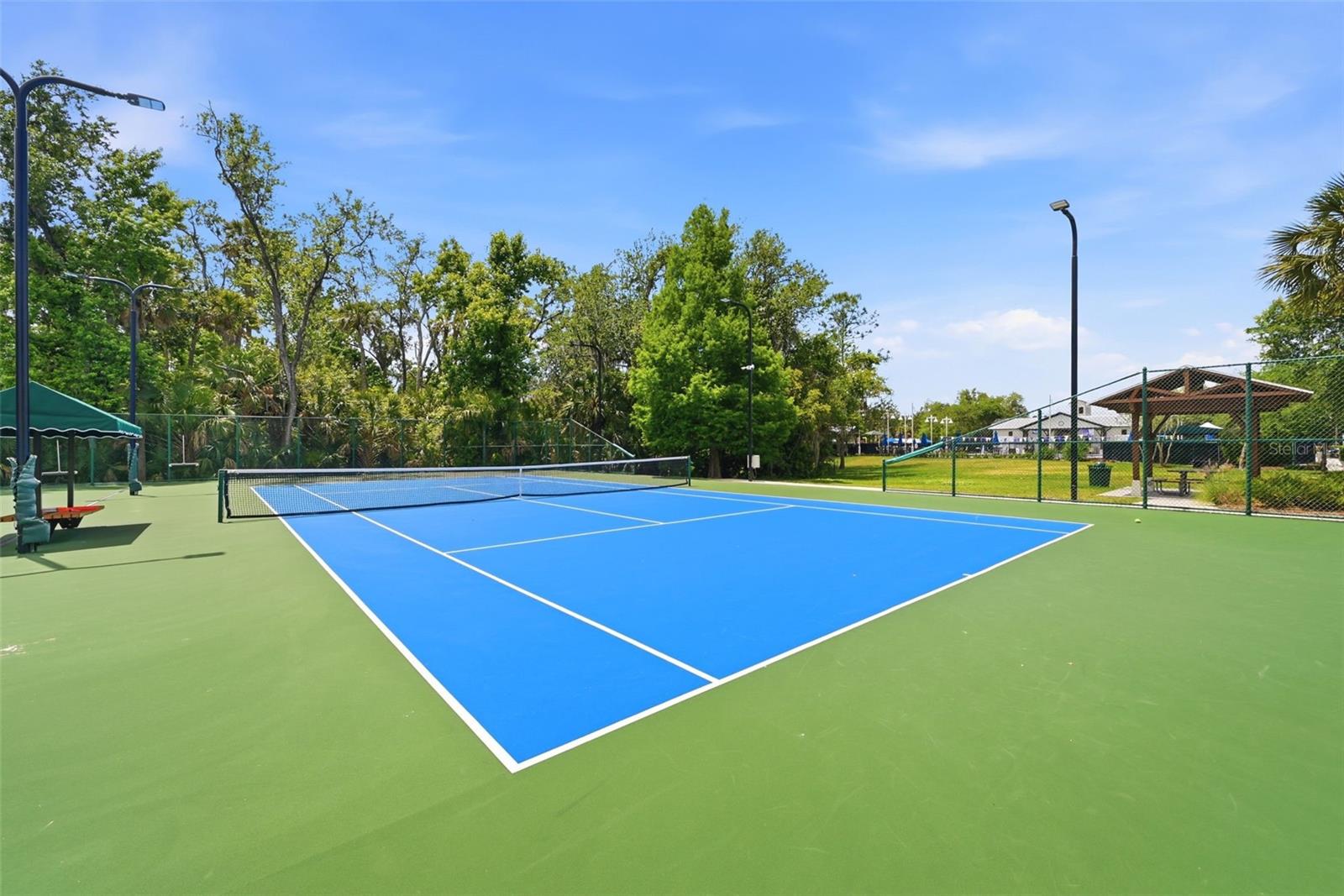 709 BLOOM ST #160, CELEBRATION, FL, 34747