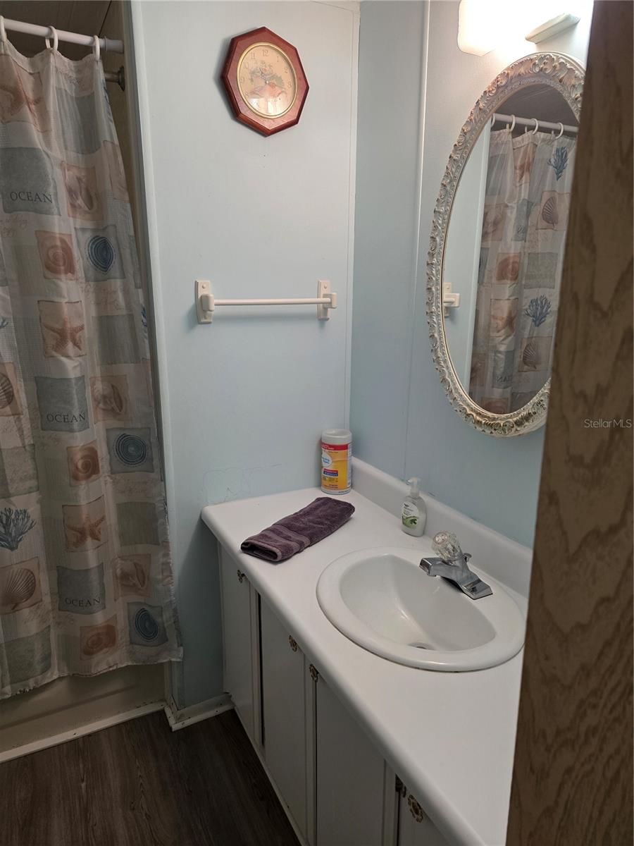 16995 SE 101ST COURT RD, SUMMERFIELD, FL, 34491
