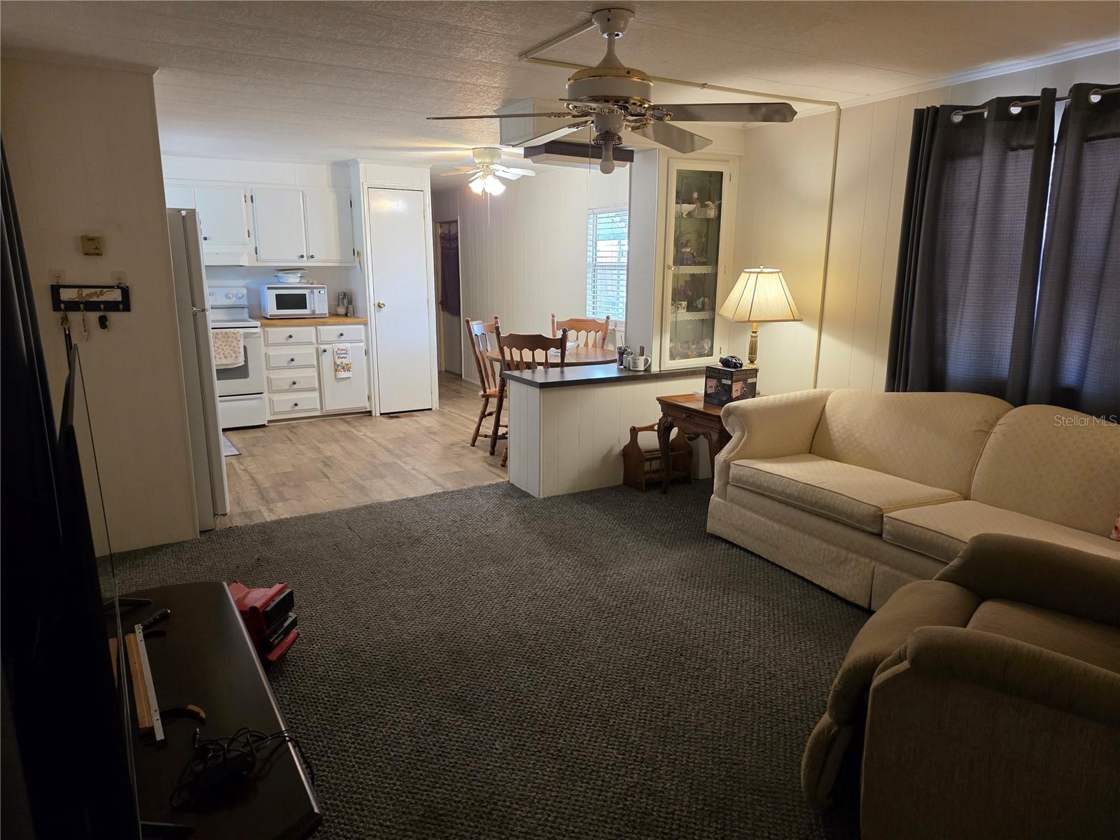 16995 SE 101ST COURT RD, SUMMERFIELD, FL, 34491