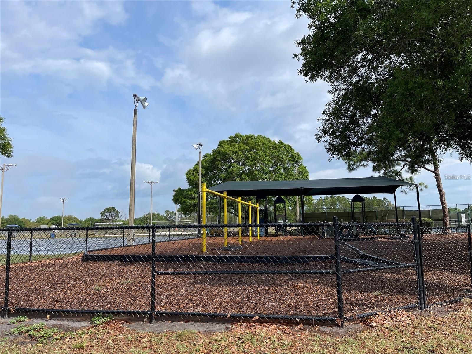 10806 BRICKSIDE CT, RIVERVIEW, FL, 33579