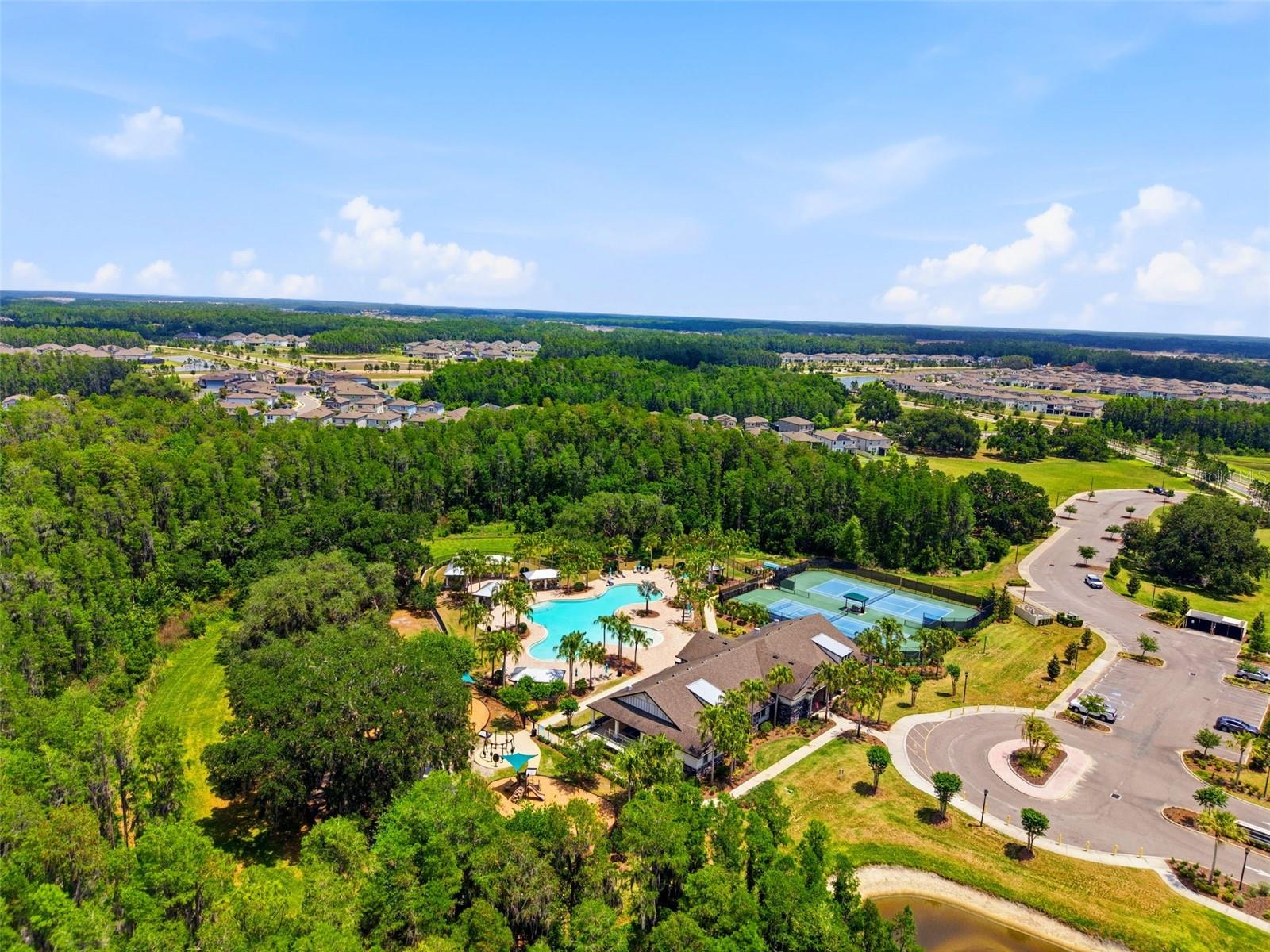 19419 PADDOCK VIEW DR, TAMPA, FL, 33647