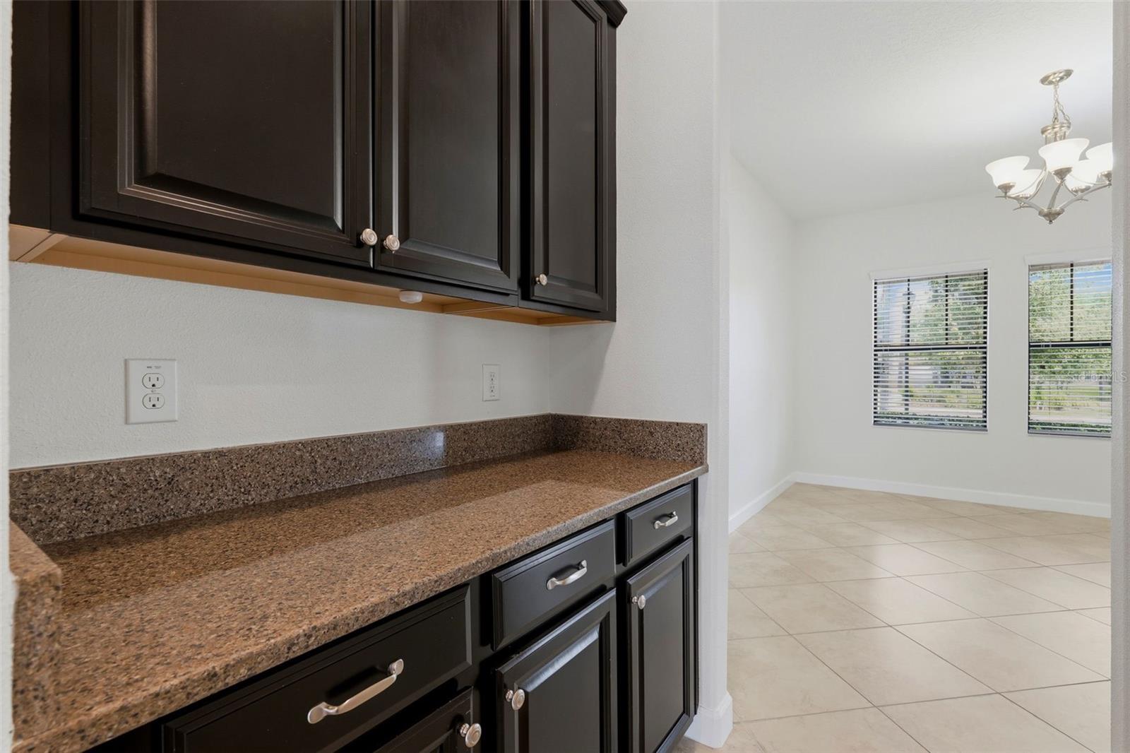 19419 PADDOCK VIEW DR, TAMPA, FL, 33647