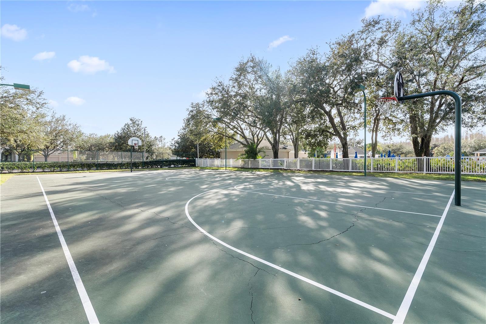 18117 PARADISE POINT DR, TAMPA, FL, 33647