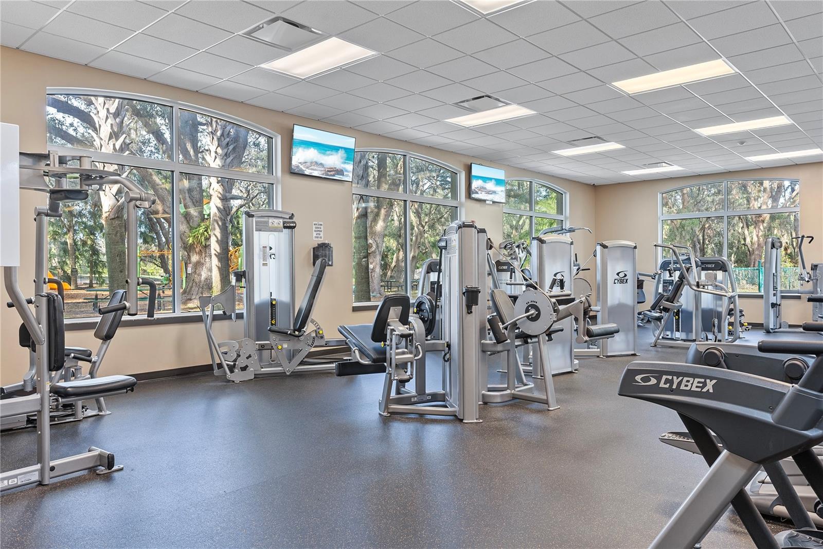 18117 PARADISE POINT DR, TAMPA, FL, 33647