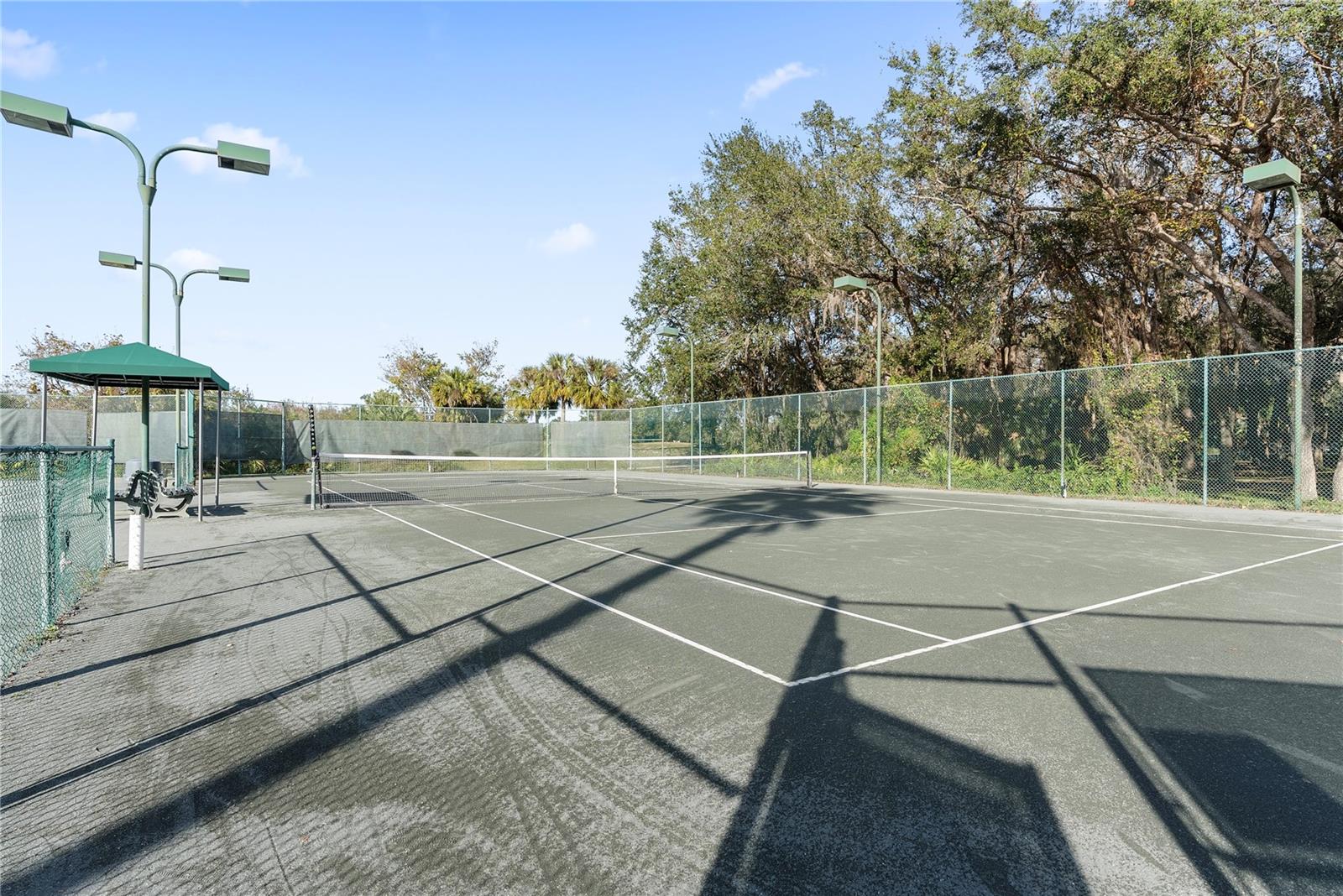 18117 PARADISE POINT DR, TAMPA, FL, 33647