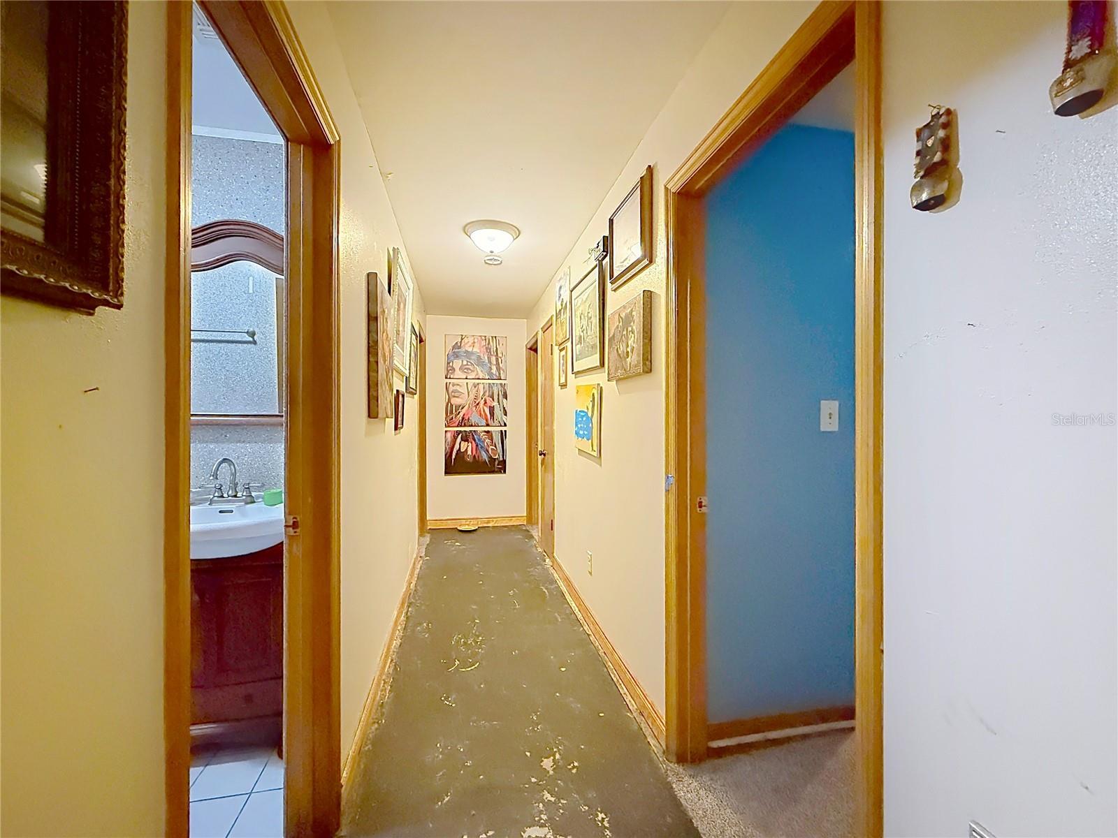 2548 CR 422, LAKE PANASOFFKEE, FL, 33538