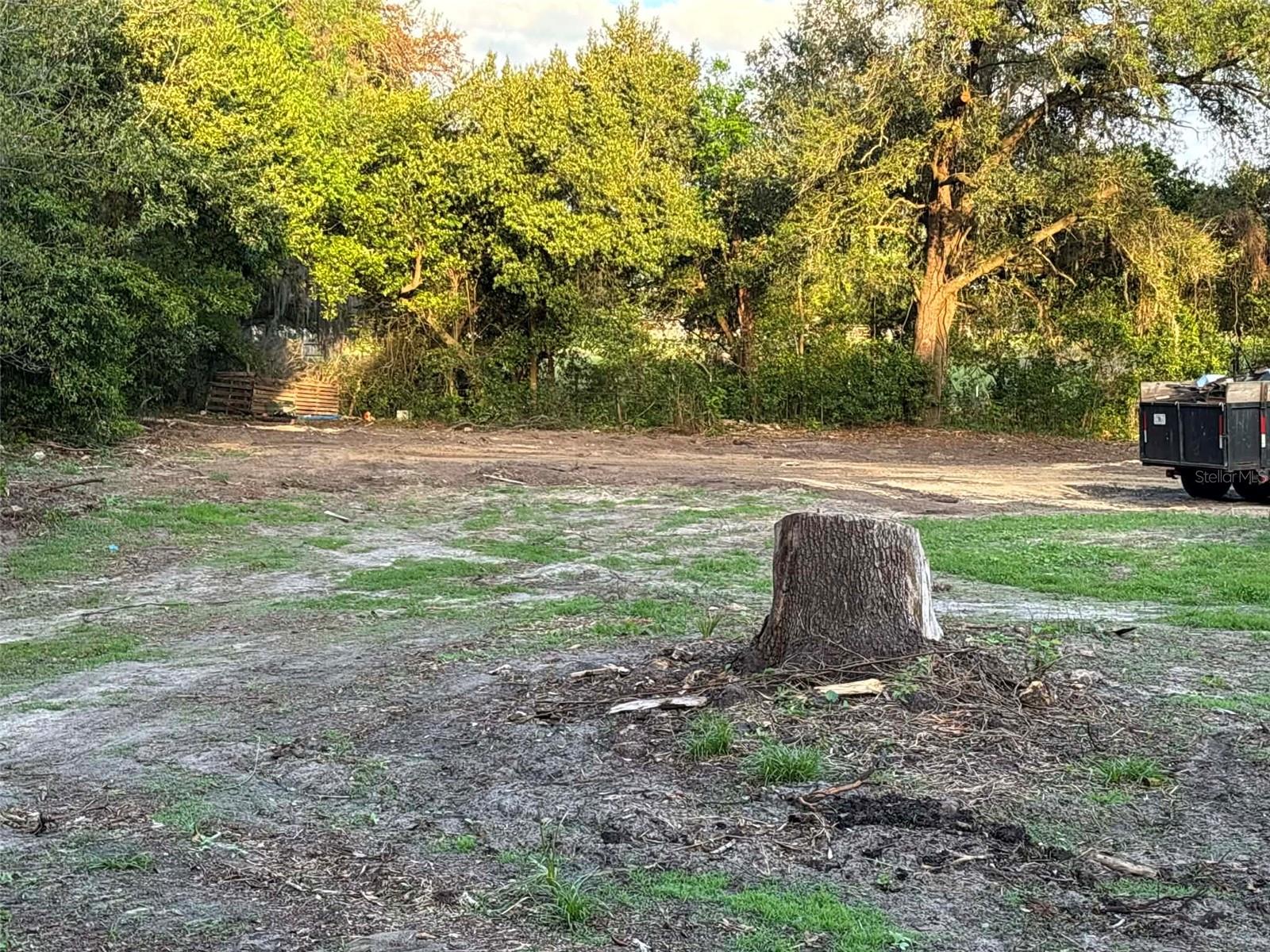 10323 S ARABIAN AVE, FLORAL CITY, FL, 34436