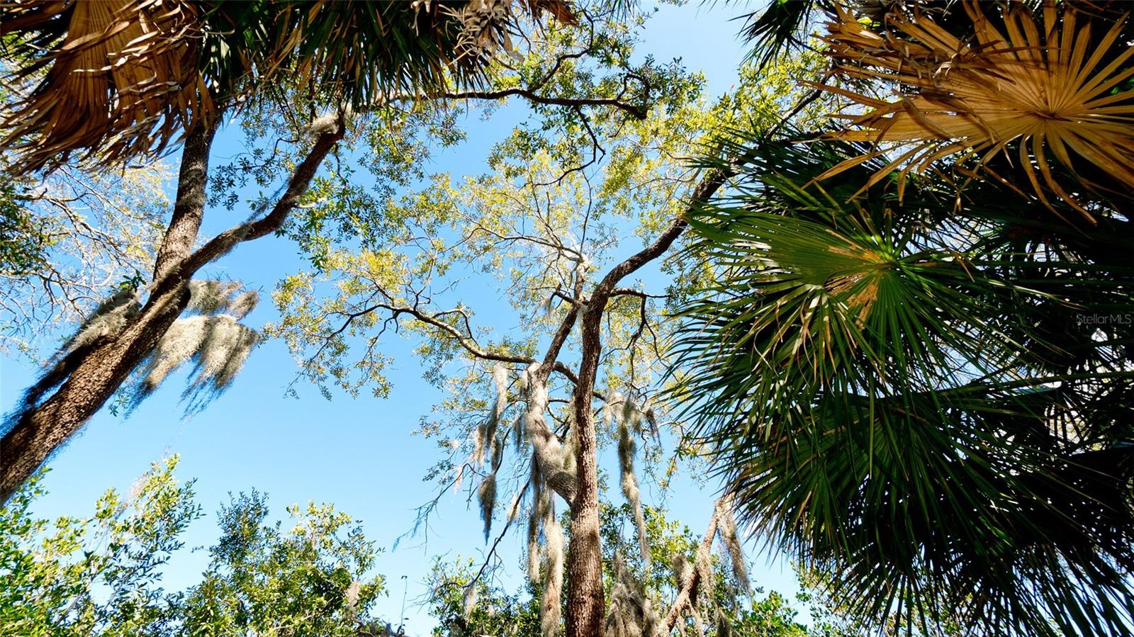 540 MAST DR, BRADENTON, FL, 34208